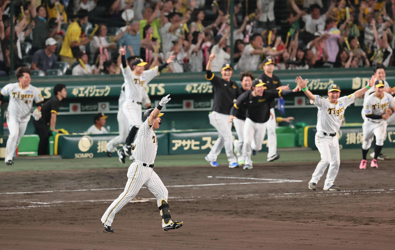 阪神対DeNA 9回裏阪神2死満塁、原口は右前打を放ち、右ゴロを狙った度会の一塁悪送球でサヨナラとなる（撮影・宮崎幸一）
