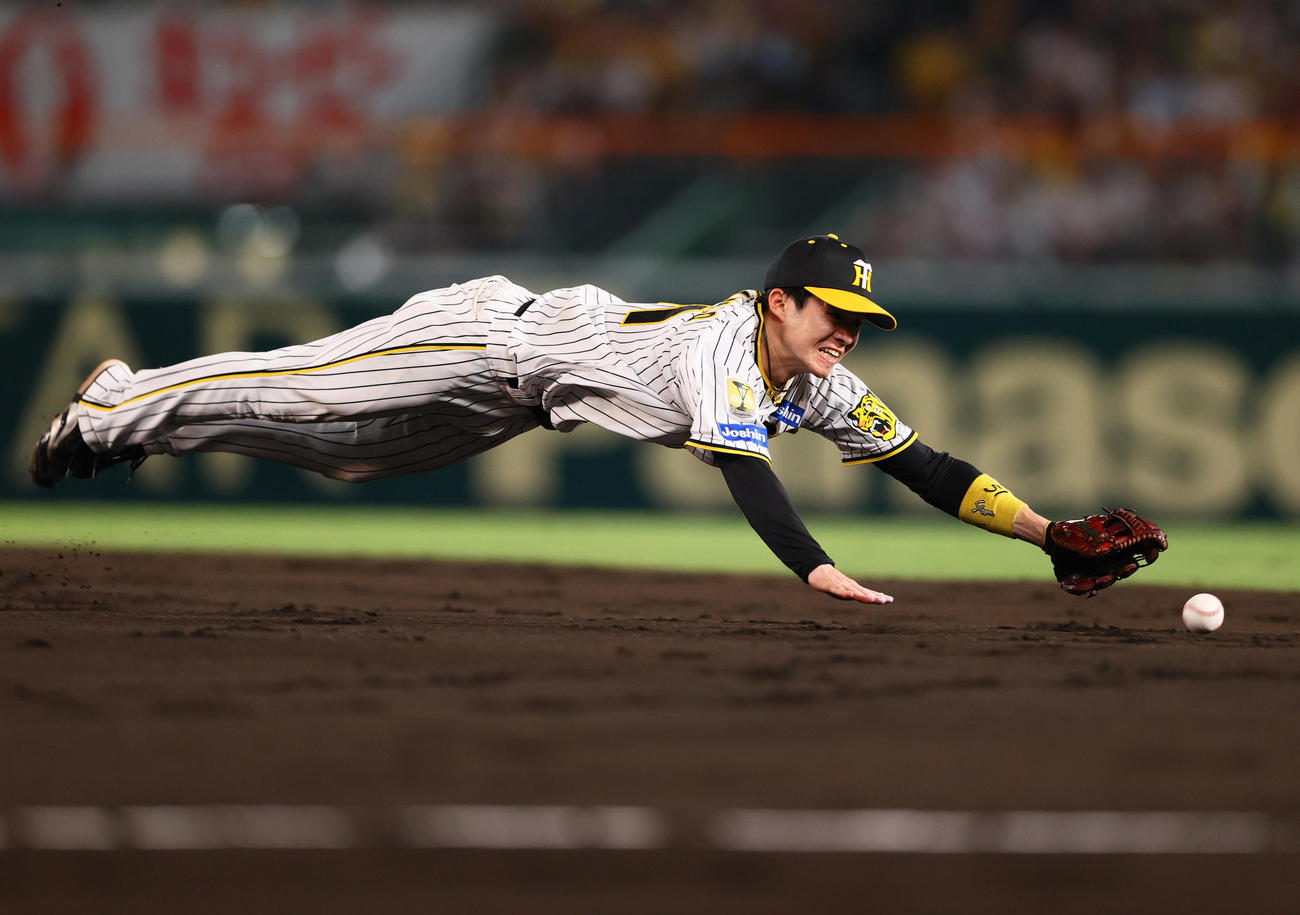 阪神対DeNA 5回表DeNA無死一塁、二塁手中野は宮崎の打球に飛びつくが右前打となる（撮影・上山淳一）