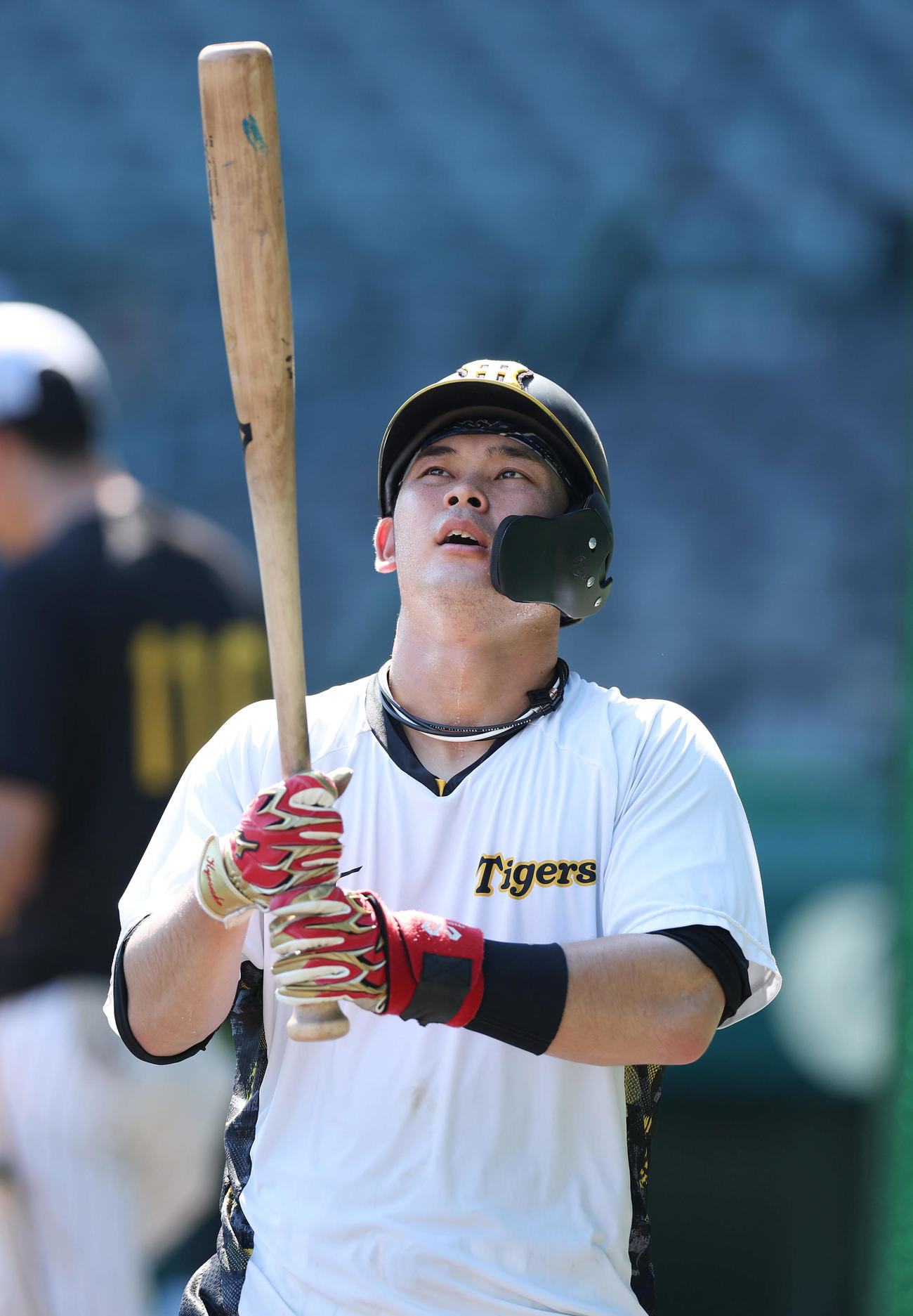 7月6日、打撃練習に臨む阪神野口恭佑
