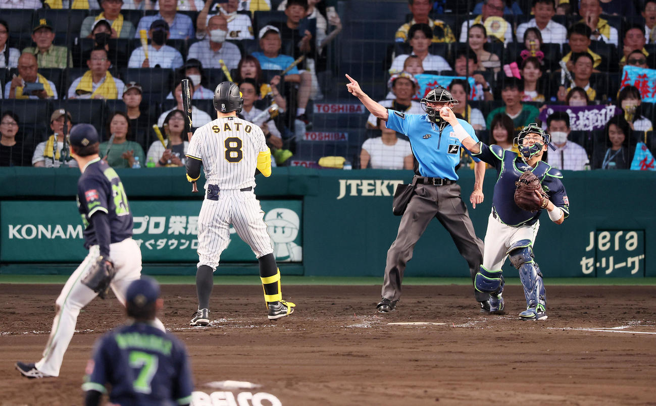 阪神対ヤクルト　4回裏阪神無死一塁、中村は打者佐藤輝のとき一塁走者大山の二塁盗塁を差す。投手吉村（撮影・加藤哉）