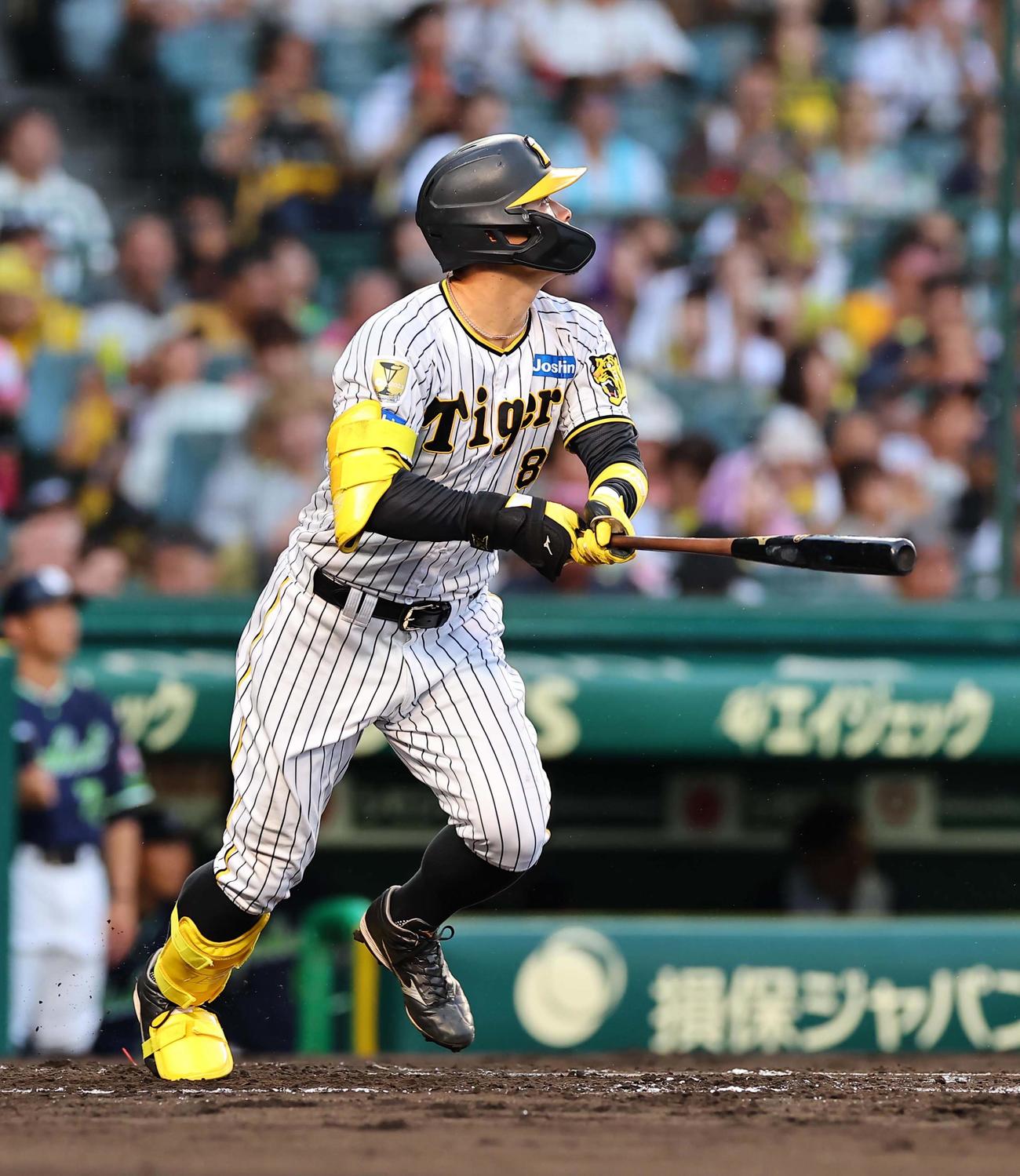 阪神対ヤクルト　2回裏阪神無死、佐藤輝は左飛に倒れる（撮影・上田博志）