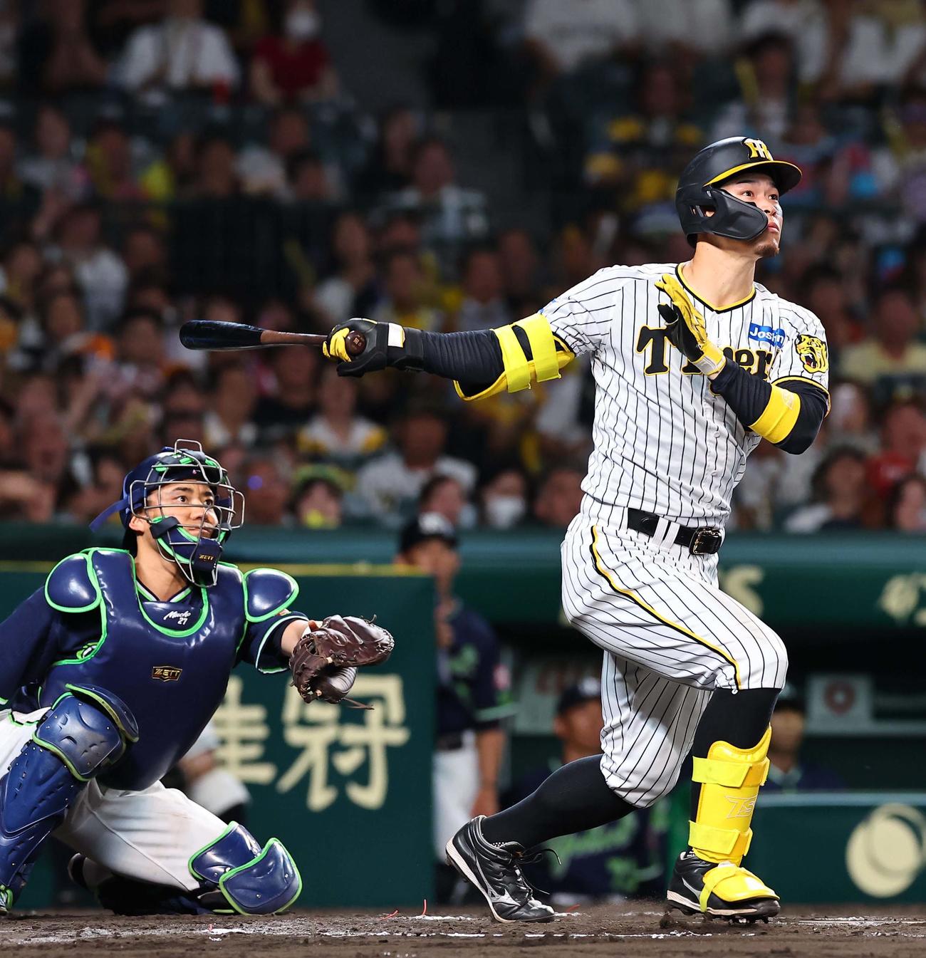 阪神対ヤクルト　6回裏阪神1死一、二塁、佐藤輝は大飛球を放つもファウルとなる（撮影・上田博志）