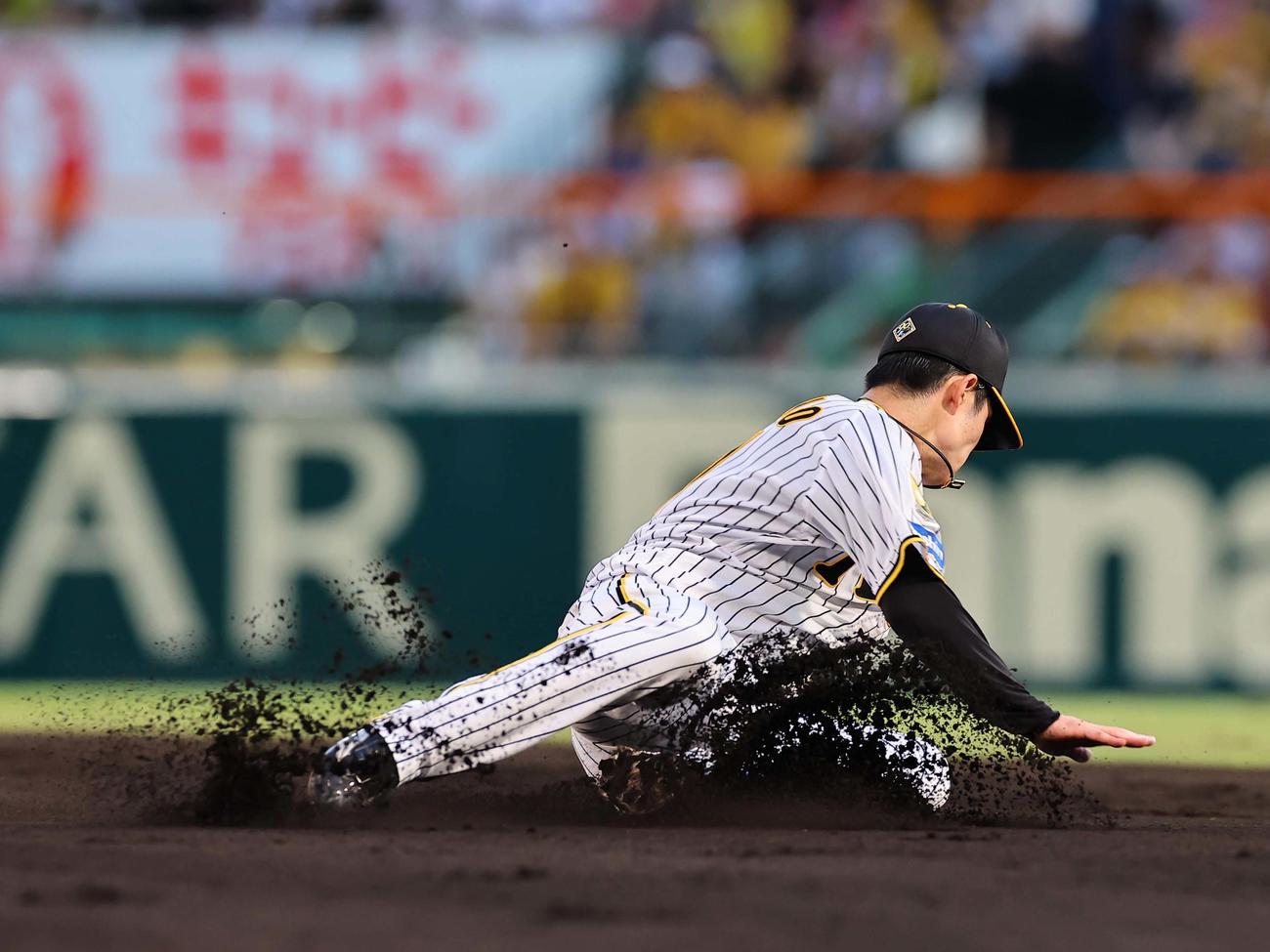 阪神対ヤクルト　4回表ヤクルト無死一塁、中野は村上の二ゴロを軽快にさばく（撮影・上田博志）