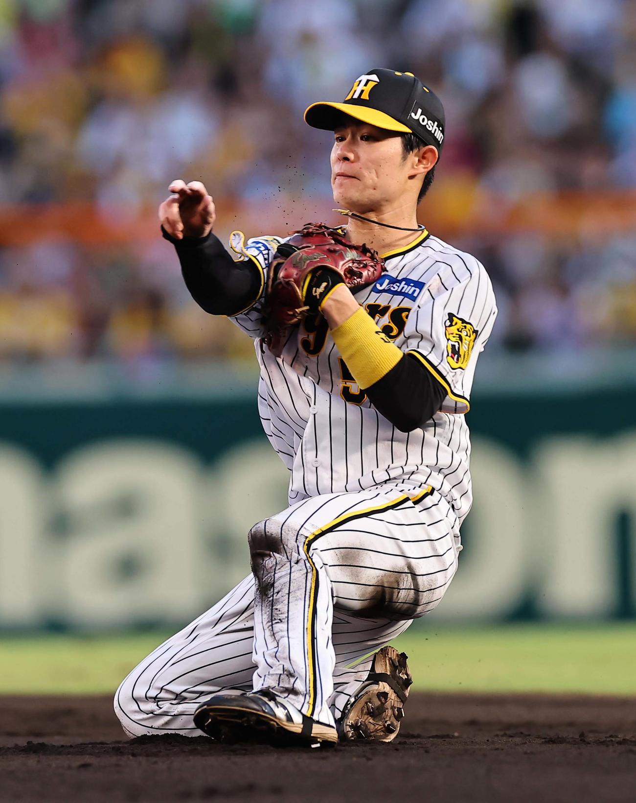 阪神対ヤクルト　4回表ヤクルト無死一塁、中野は村上の二ゴロを軽快にさばく（撮影・上田博志）
