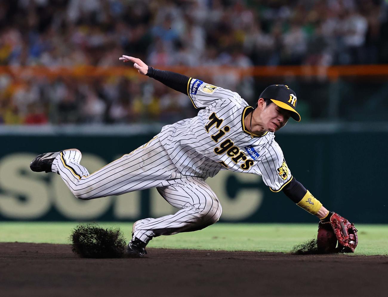 阪神対ヤクルト　7回表ヤクルト無死、中野は宮本の打球をさばくも内野安打を許す（撮影・上田博志）