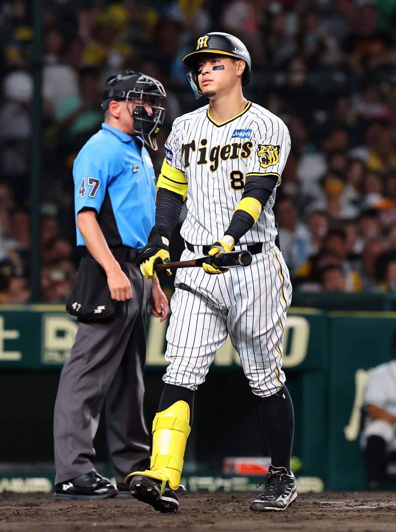 阪神対ヤクルト　6回裏阪神1死一、二塁、佐藤輝は三振に倒れる（撮影・上田博志）