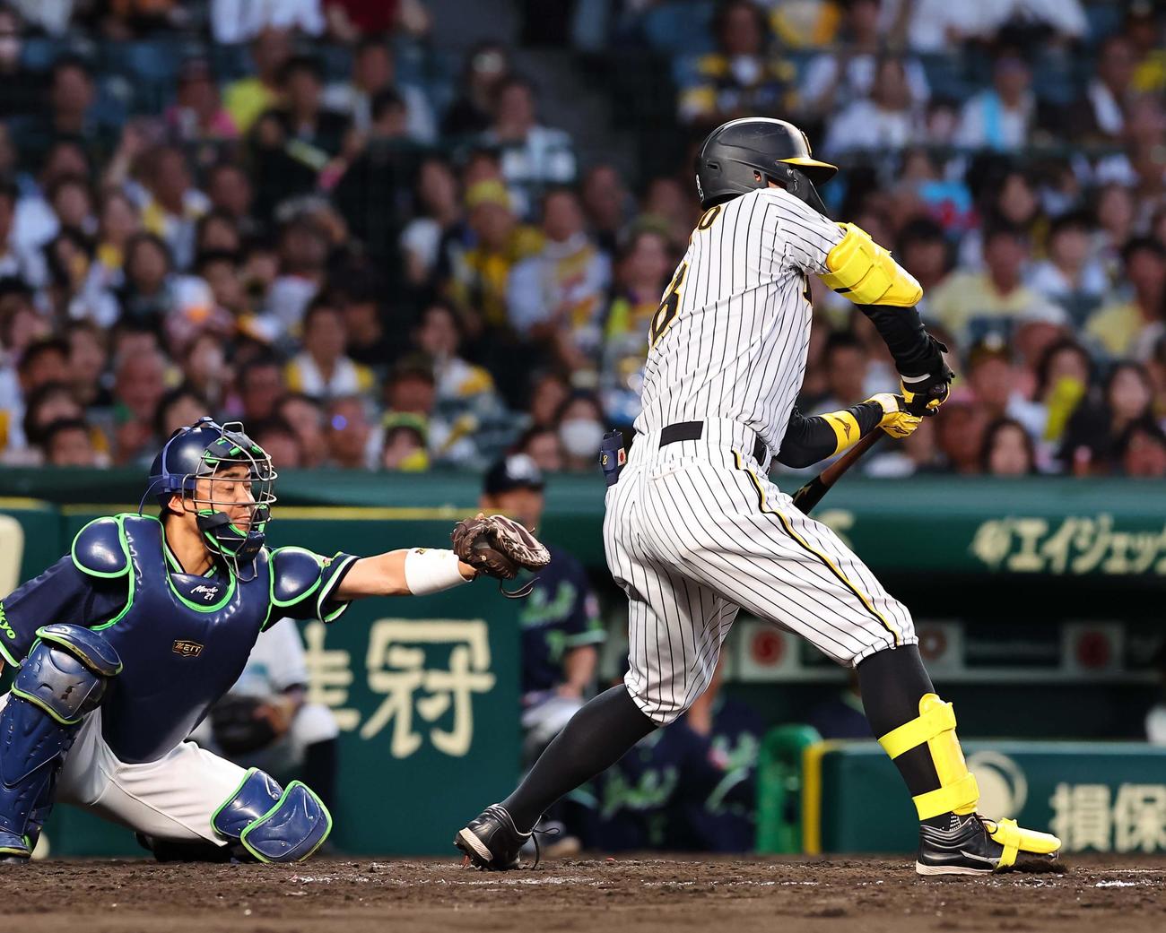 阪神対ヤクルト　4回裏阪神無死一塁、佐藤輝は三振に倒れる（撮影・上田博志）