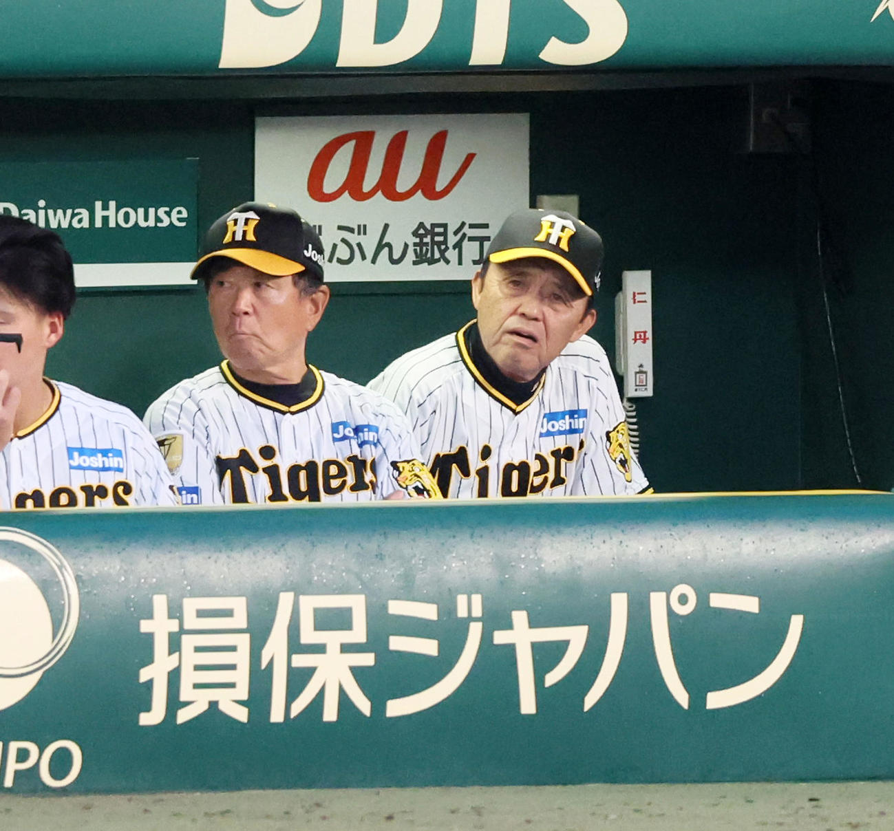 阪神対ヤクルト　4回裏阪神無死一塁、佐藤輝が三振に倒れベンチからグラウンドを見つめる岡田監督。左は平田ヘッドコーチ（撮影・加藤哉）
