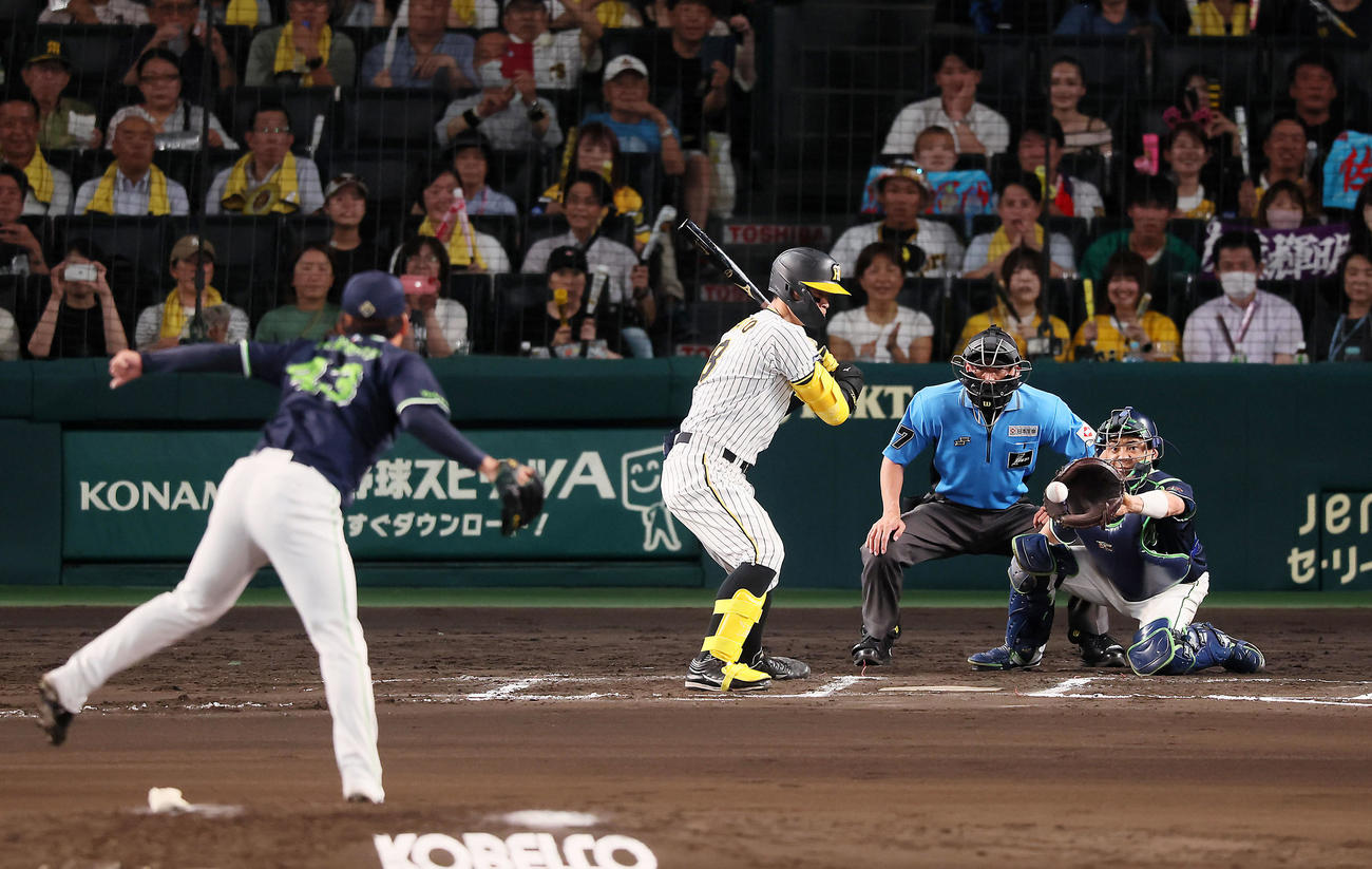 阪神対ヤクルト　6回裏阪神1死一、二塁、三振に倒れる佐藤輝。投手山本（撮影・加藤哉）