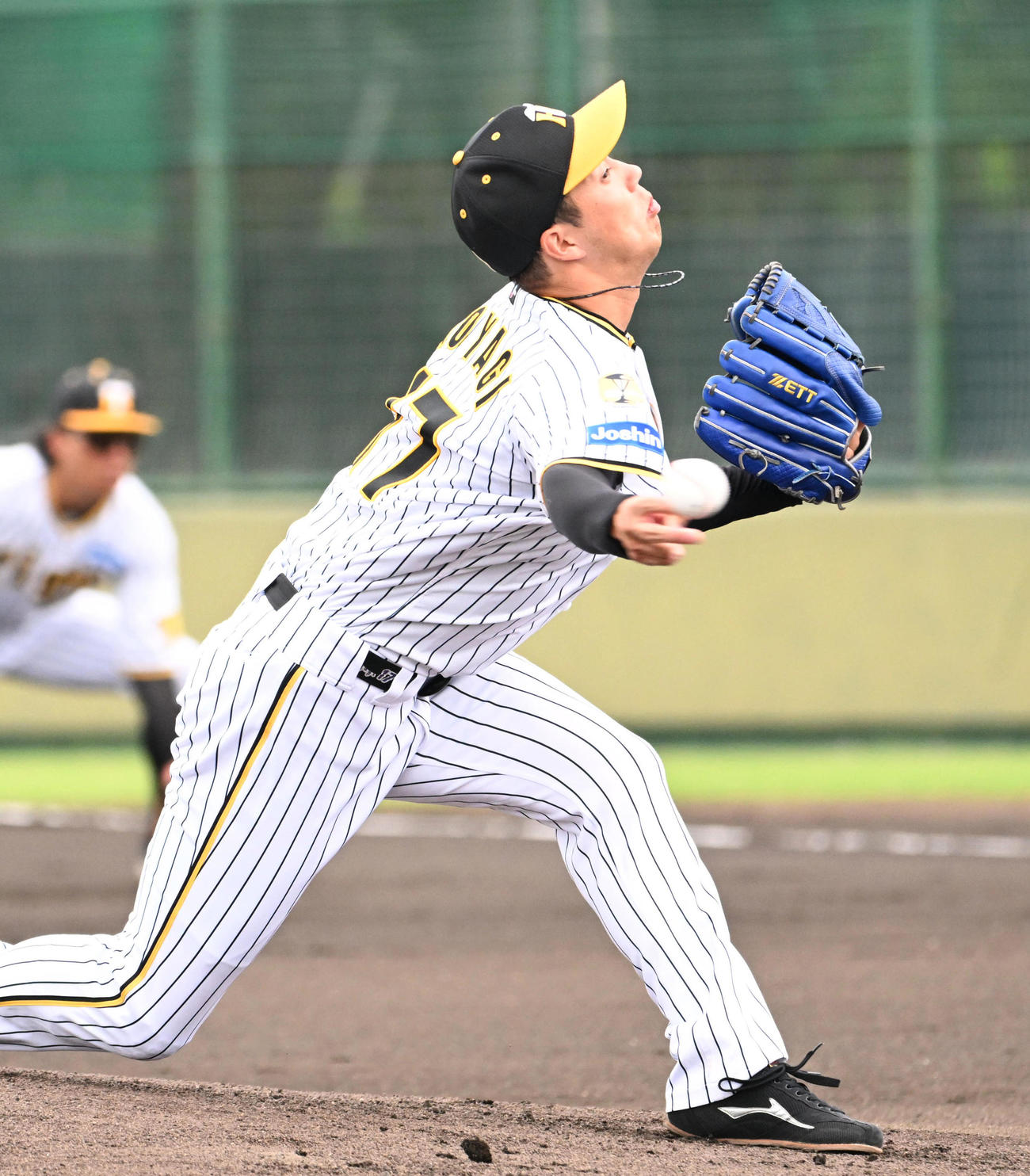 阪神対くふうハヤテ　阪神先発の青柳（撮影・石井愛子）