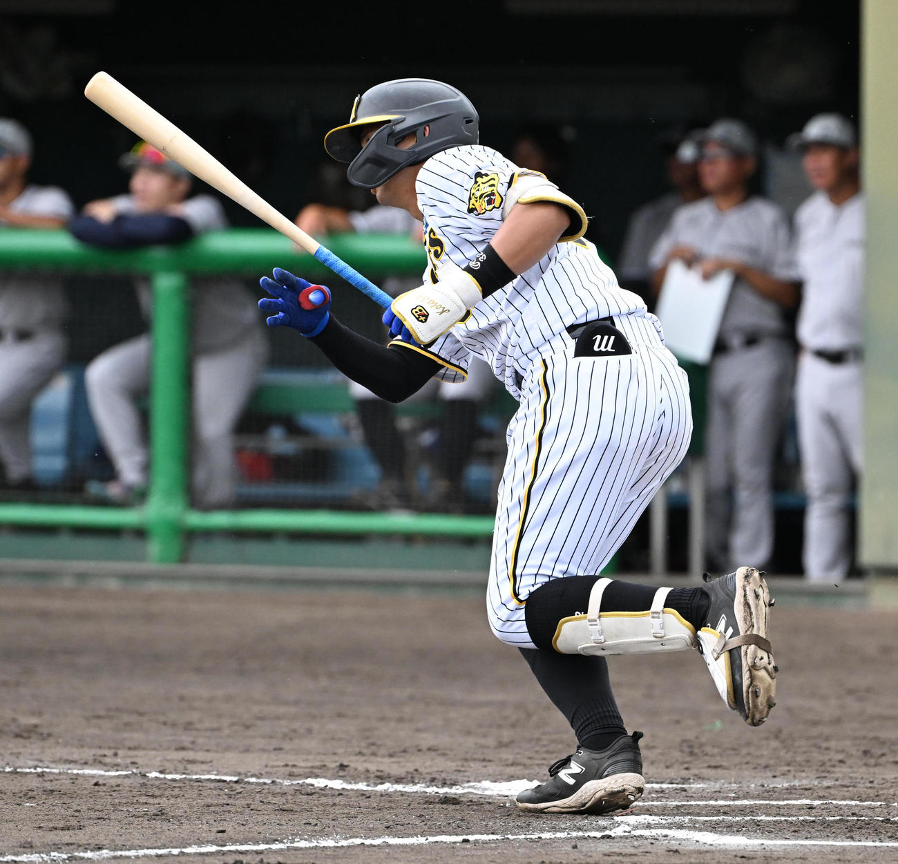 阪神対くふうハヤテ　7回裏阪神無死、井上は中安打を放つ（撮影・石井愛子）