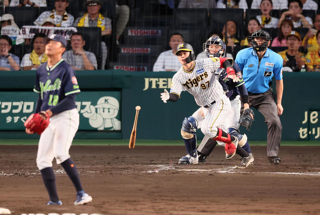阪神対ヤクルト　4回裏阪神2死二塁、野口は中適時打を放つ。投手奥川（撮影・加藤哉）