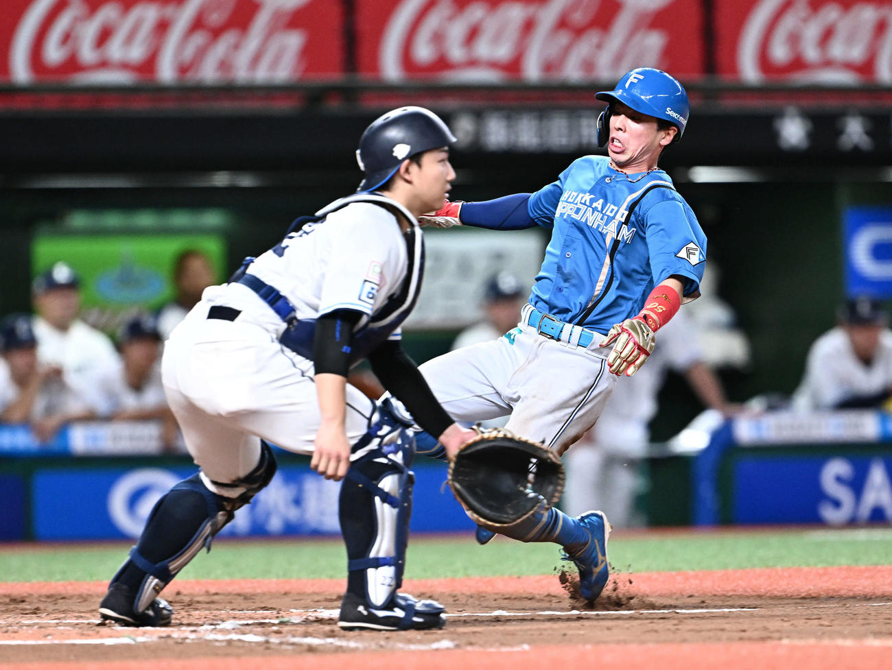 西武対日本ハム　7回表日本ハム1死三塁、代打郡司の中犠飛で生還する代走五十幡（右）。捕手古賀（撮影・滝沢徹郎）