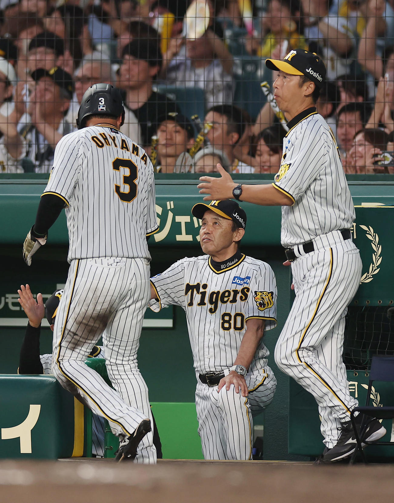 阪神対ヤクルト　4回裏阪神2死二塁、野口の適時打で生還した大山（左）を迎える岡田監督（中央）（撮影・前田充）