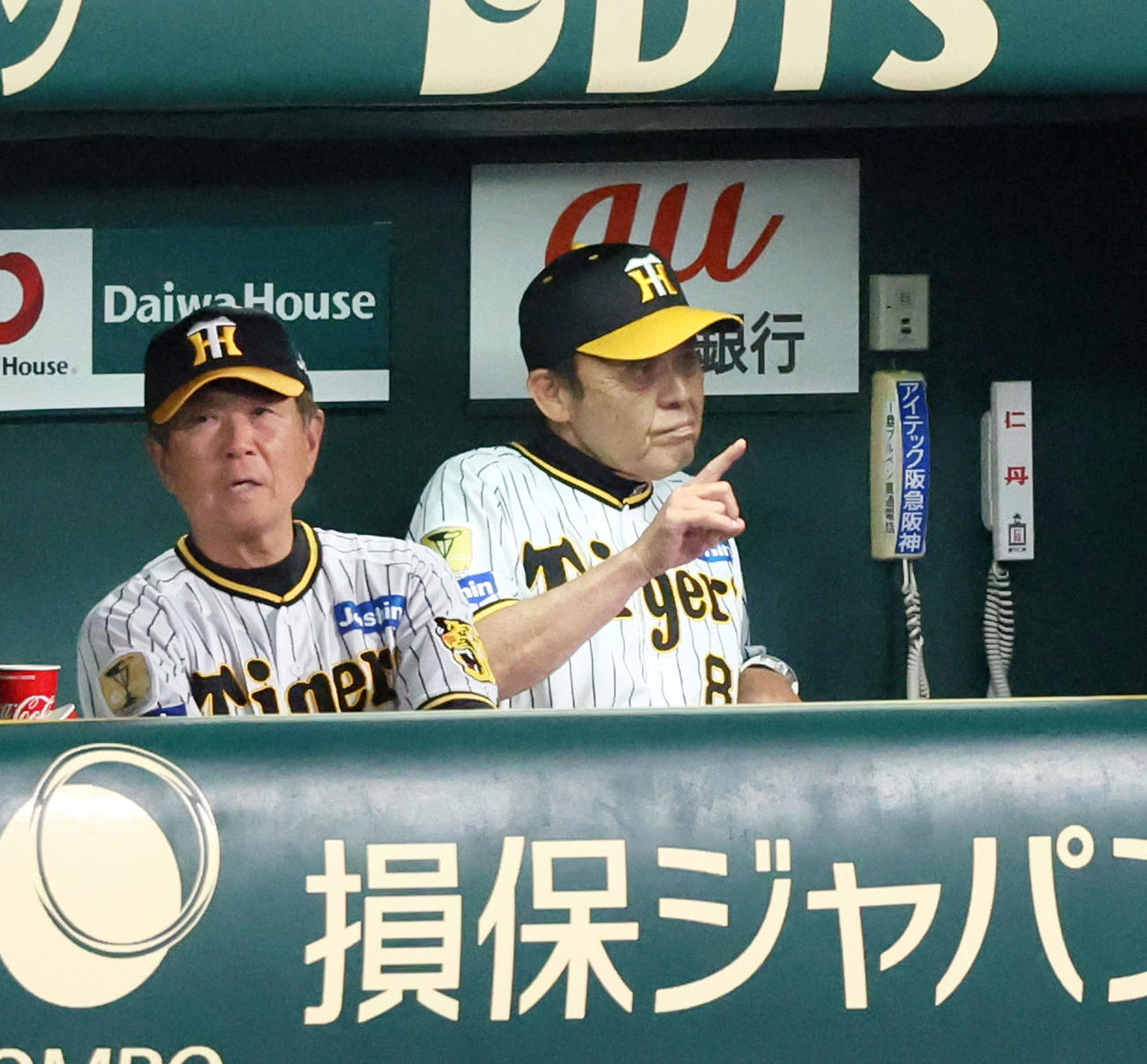 阪神対ヤクルト　6回表、ベンチで指を立てる岡田監督（撮影・加藤哉）