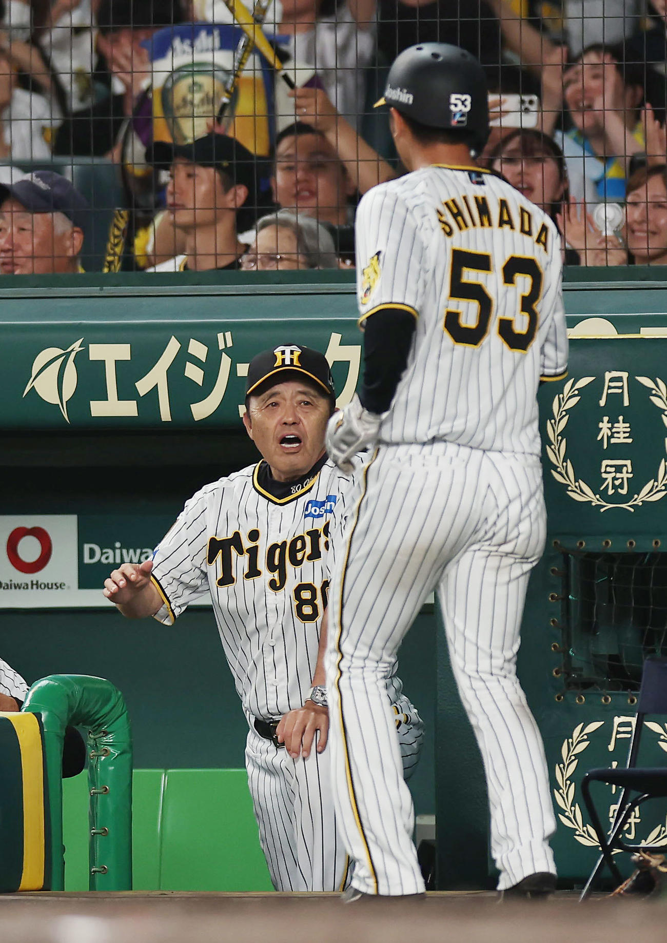 阪神対ヤクルト　6回裏阪神2死一塁、坂本の適時二塁打で生還した島田（右）を迎える岡田監督（撮影・前田充）