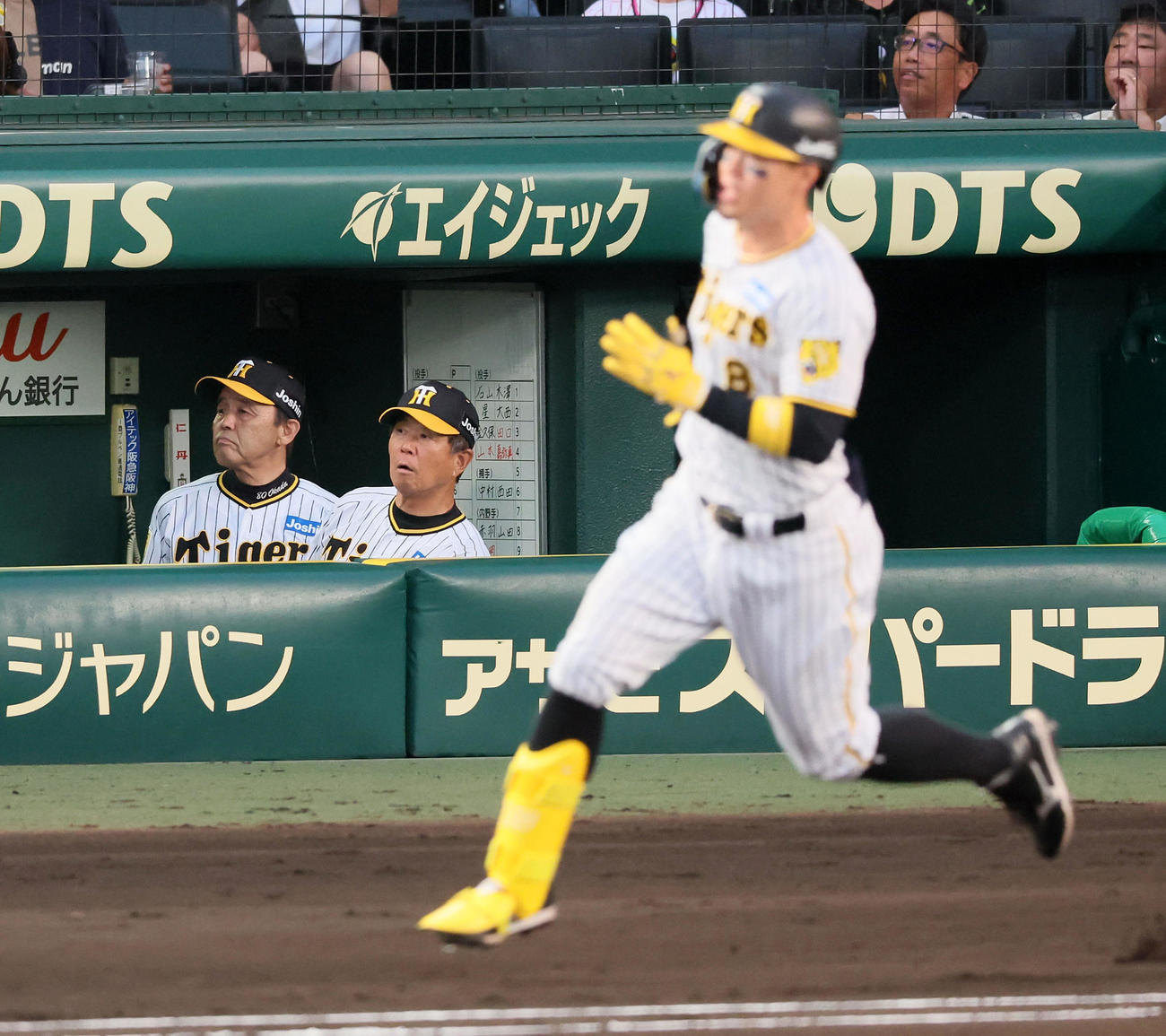 阪神対ヤクルト　2回裏阪神無死、佐藤輝の打球をベンチから見る岡田監督。右は平田ヘッドコーチ（撮影・加藤哉）