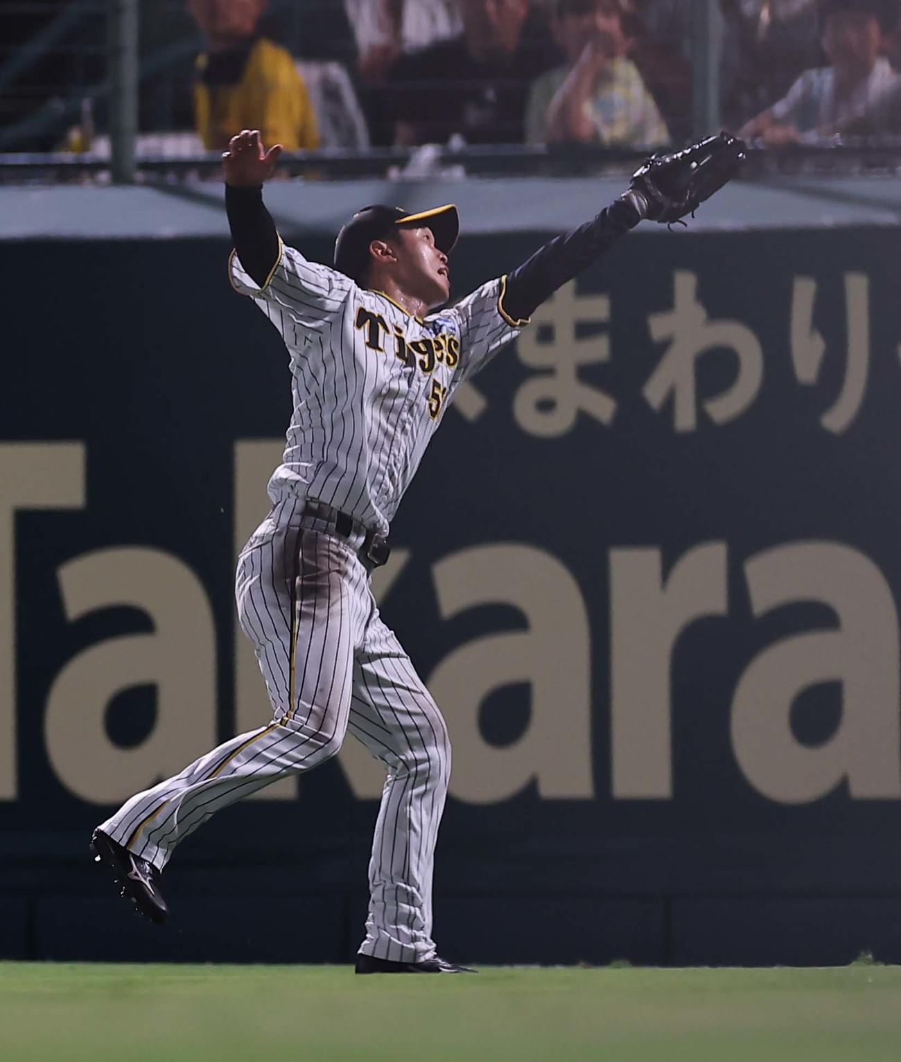 阪神対ヤクルト　7回表ヤクルト2死、浜田の右飛を好捕する島田（撮影・上田博志）