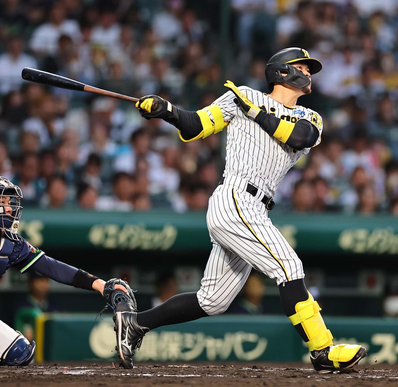 阪神対ヤクルト　2回裏阪神無死、佐藤輝は二塁打を放つ（撮影・上田博志）