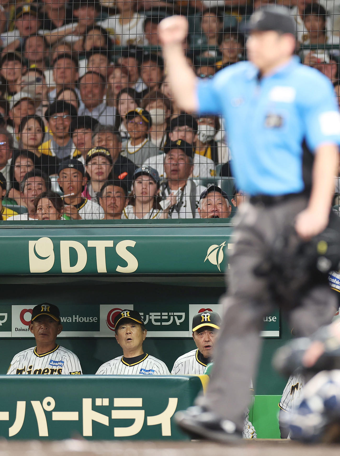 阪神対ヤクルト　6回裏阪神1死一、三塁、野口の遊ゴロで佐藤輝の二塁アウト判定にリクエストするも判定が変わらず、ベンチで驚いたような表情を見せる岡田監督（右）ら（撮影・前田充）