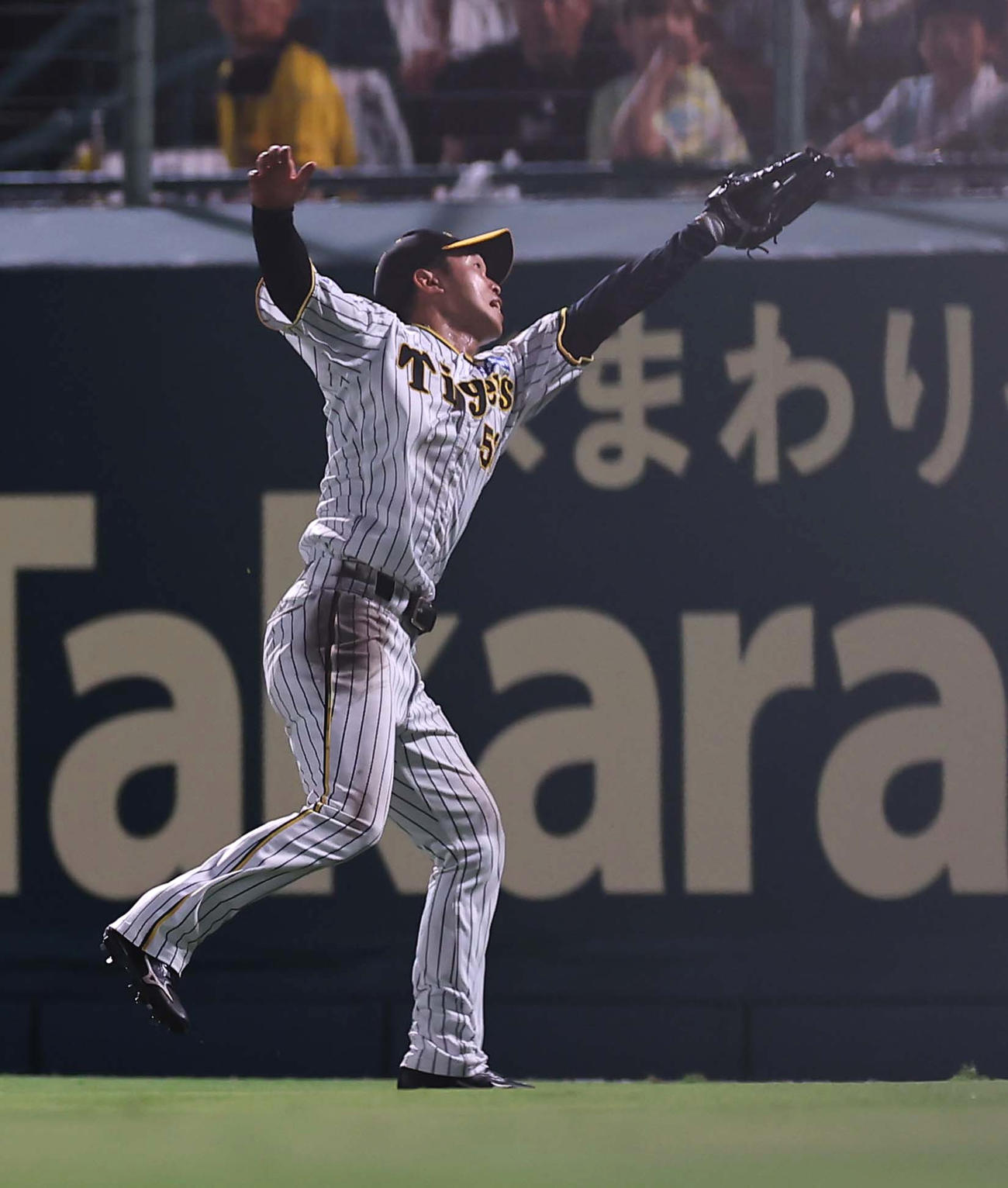 阪神対ヤクルト　7回表ヤクルト2死、浜田の右飛を好捕する島田（撮影・上田博志）