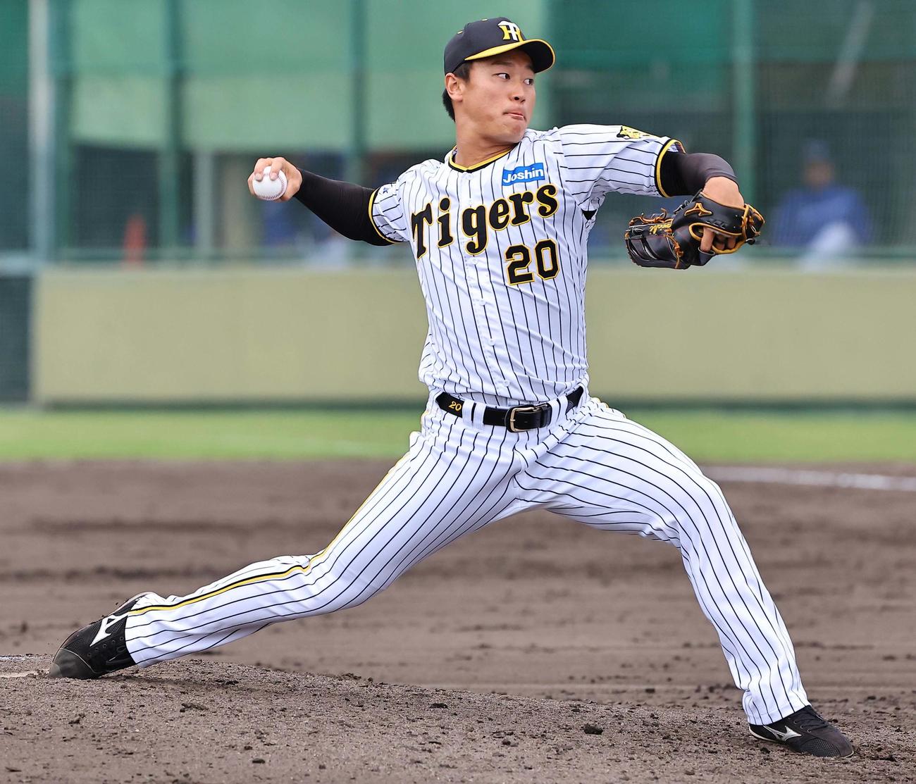 阪神森木大智（2024年4月24日撮影）