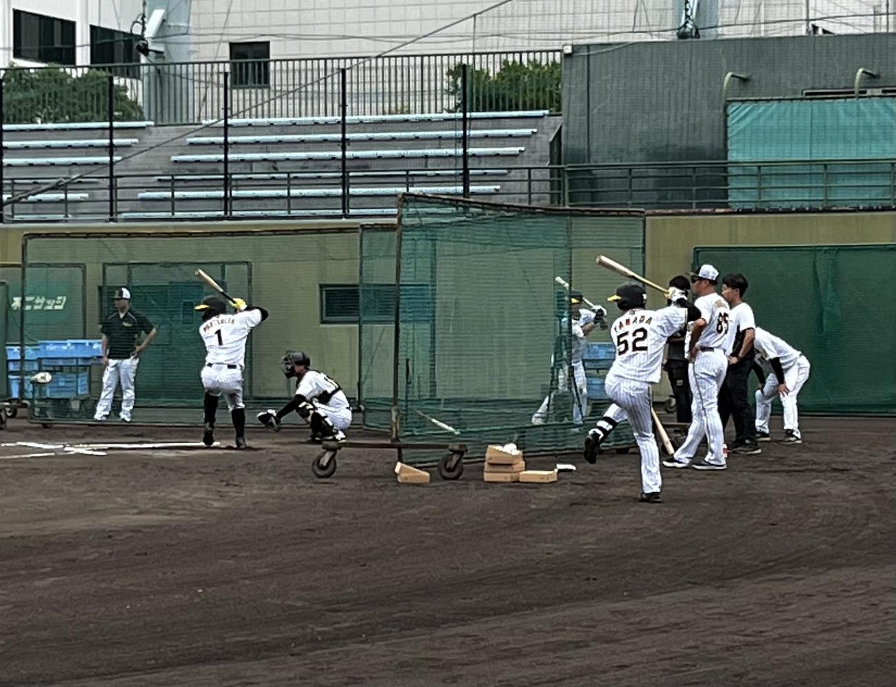 鳴尾浜でシート打撃に臨む阪神森下（左）を見守るスタッフら（撮影・中野椋）