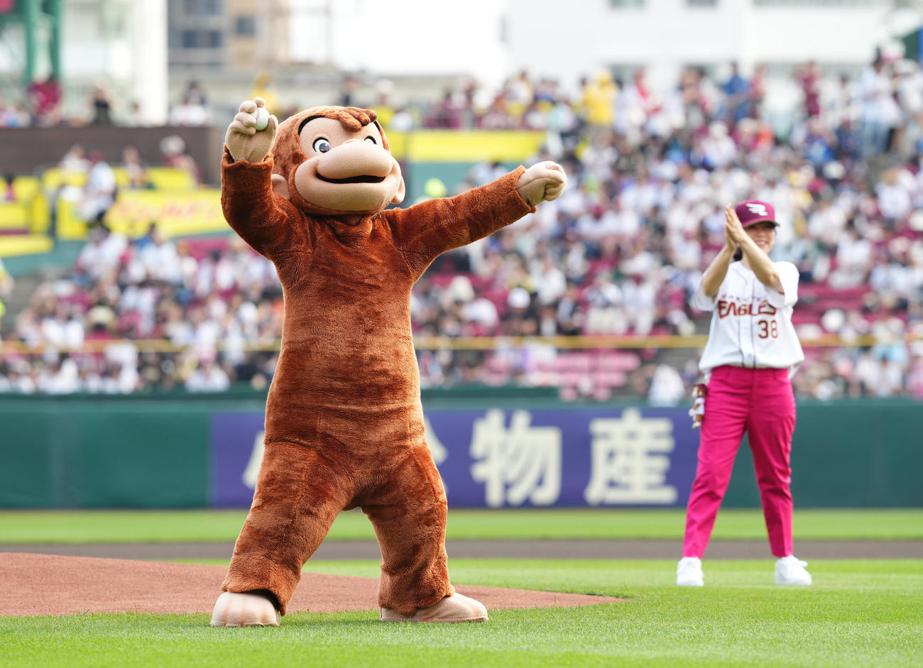楽天対西武　セレモニアルピッチを務めるおさるのジョージ。右は岩崎良美（撮影・菅敏）