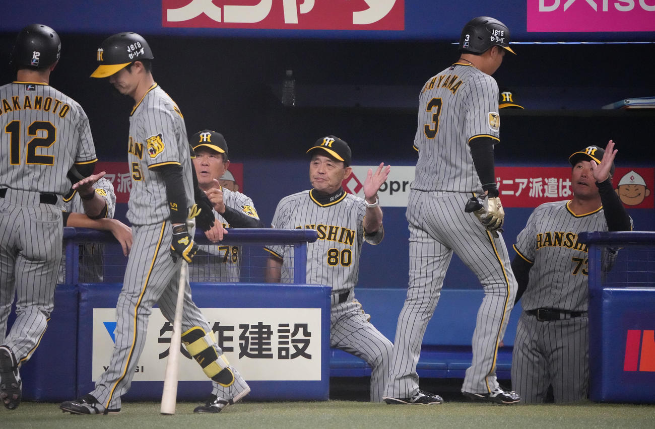 中日対阪神　4回表阪神2死満塁、渡辺の中前2点適時打で生還した大山を迎える岡田監督（中央）（撮影・森本幸一）