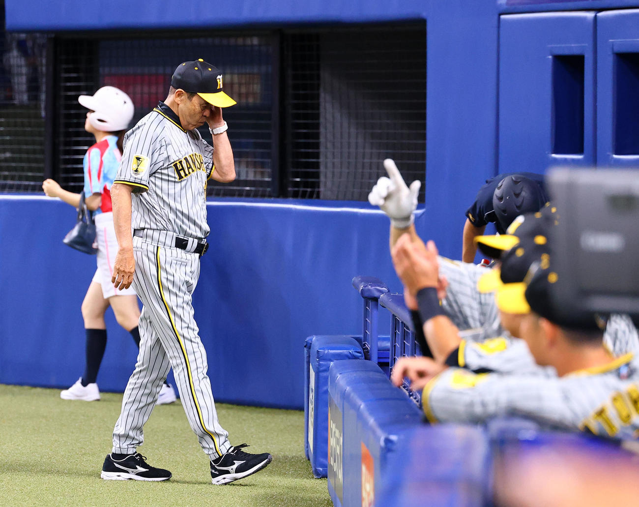 中日対阪神　5回、交代を告げベンチに戻る阪神岡田監督（撮影・藤尾明華）