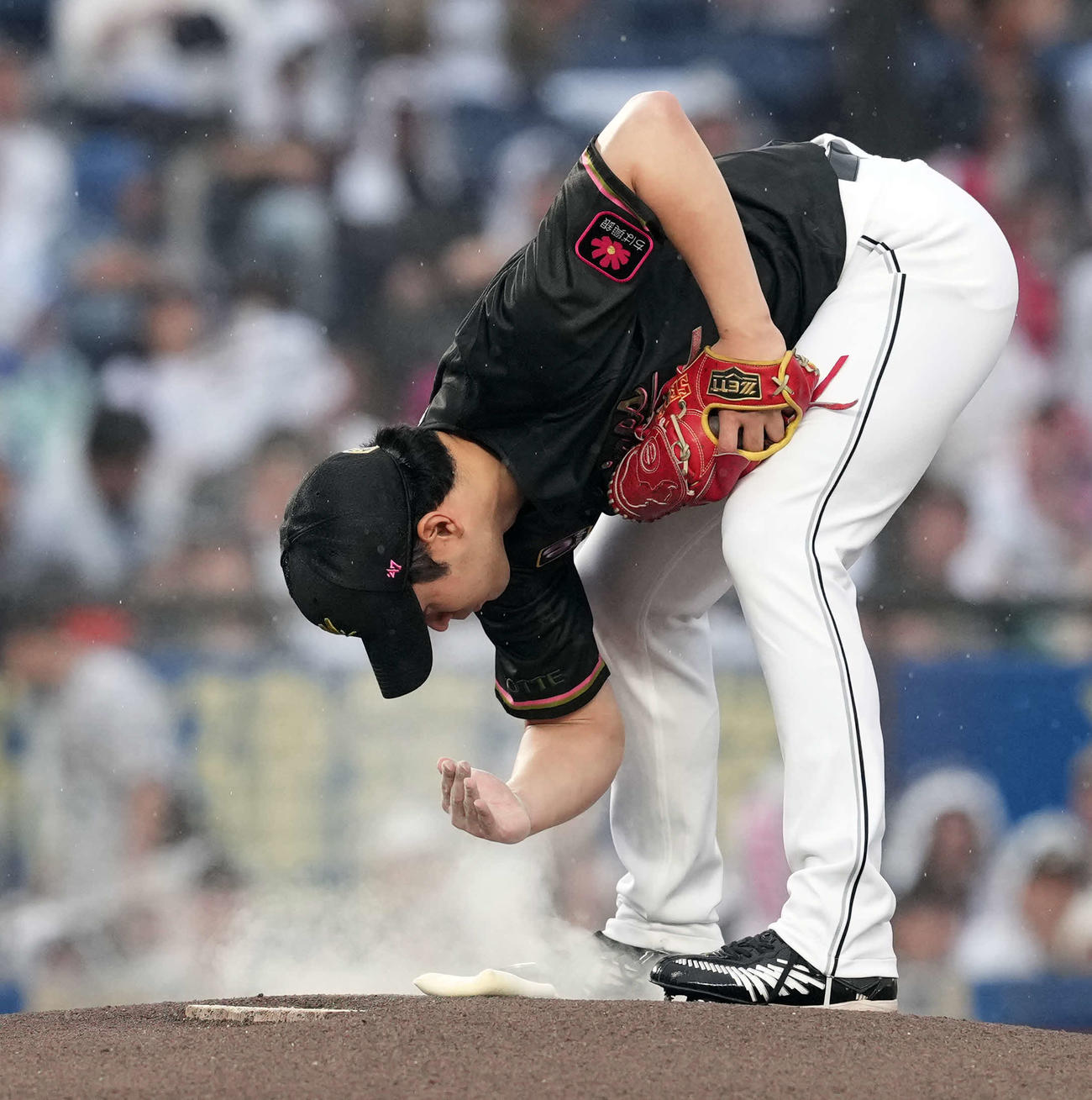 ロッテ対オリックス　ロッテの先発種市（撮影・たえ見朱実）