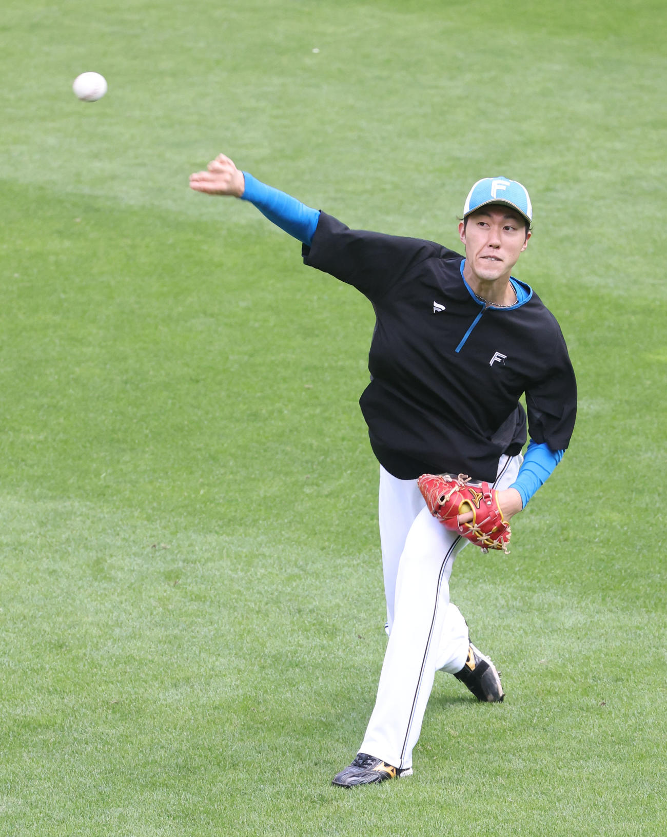日本ハム対ソフトバンク　キャッチボールをする日本ハム福島（撮影・佐藤翔太）