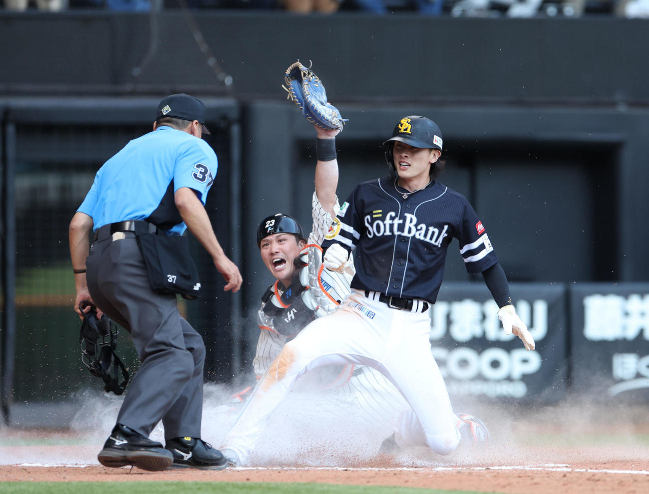 日本ハム対ソフトバンク　7回表ソフトバンク2死二塁、甲斐の右前打で生還を試みるもタッチアウトになる二塁走者の周東。捕手伏見（撮影・佐藤翔太）