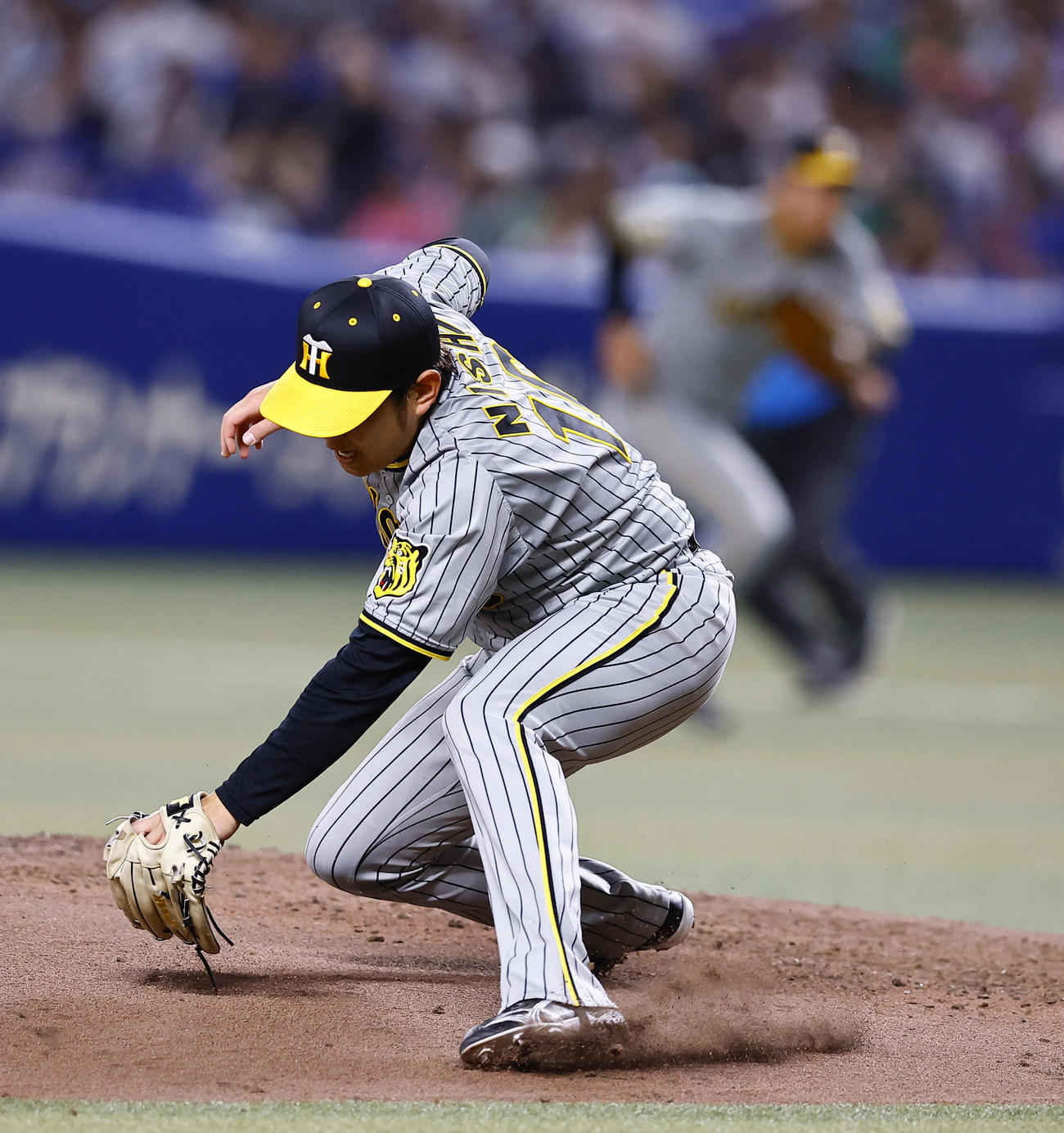 中日対阪神　3回裏中日無死、松葉の投ゴロで好守を見せる西勇（撮影・藤尾明華）