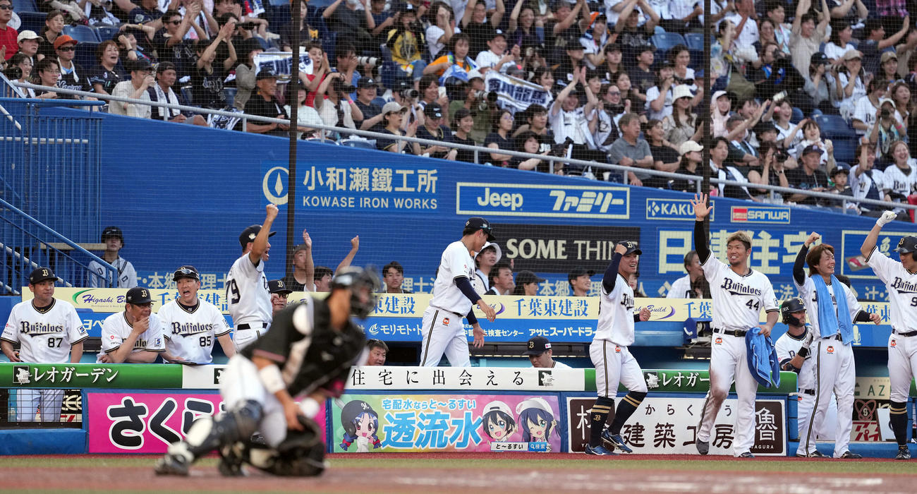 ロッテ対オリックス　4回表オリックス無死一塁、西川の2点本塁打に盛り上がるオリックスベンチ（撮影・たえ見朱実）