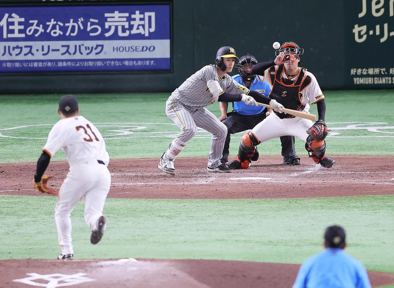巨人対阪神　5回表阪神無死一塁、小幡は送りバントに失敗する。投手赤星（撮影・足立雅史）