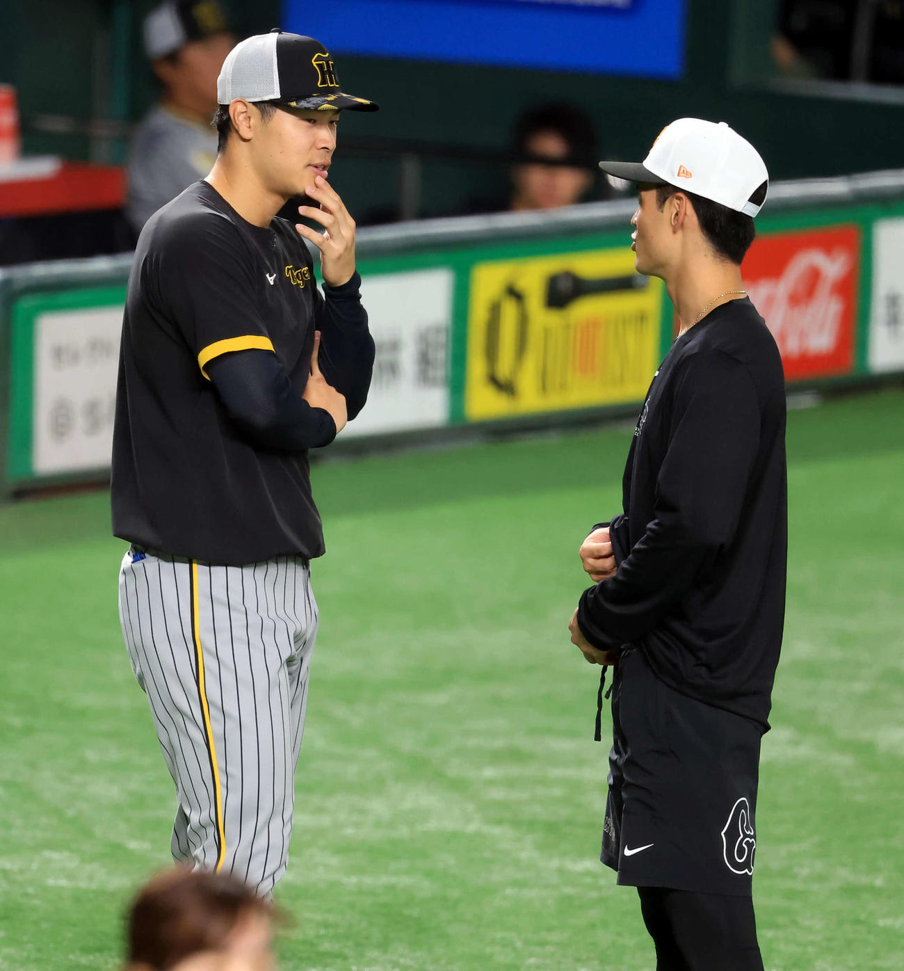 巨人対阪神　試合前、話し込む阪神佐藤輝（左）と巨人井上（撮影・浅見桂子）