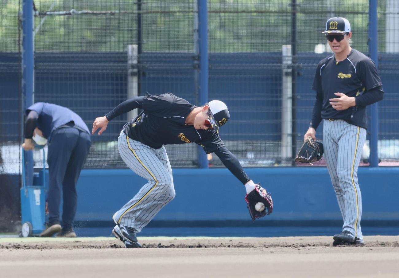 ウエスタンリーグ　オリックス対阪神　ベンチ前でノックを受ける木浪（撮影・加藤哉）