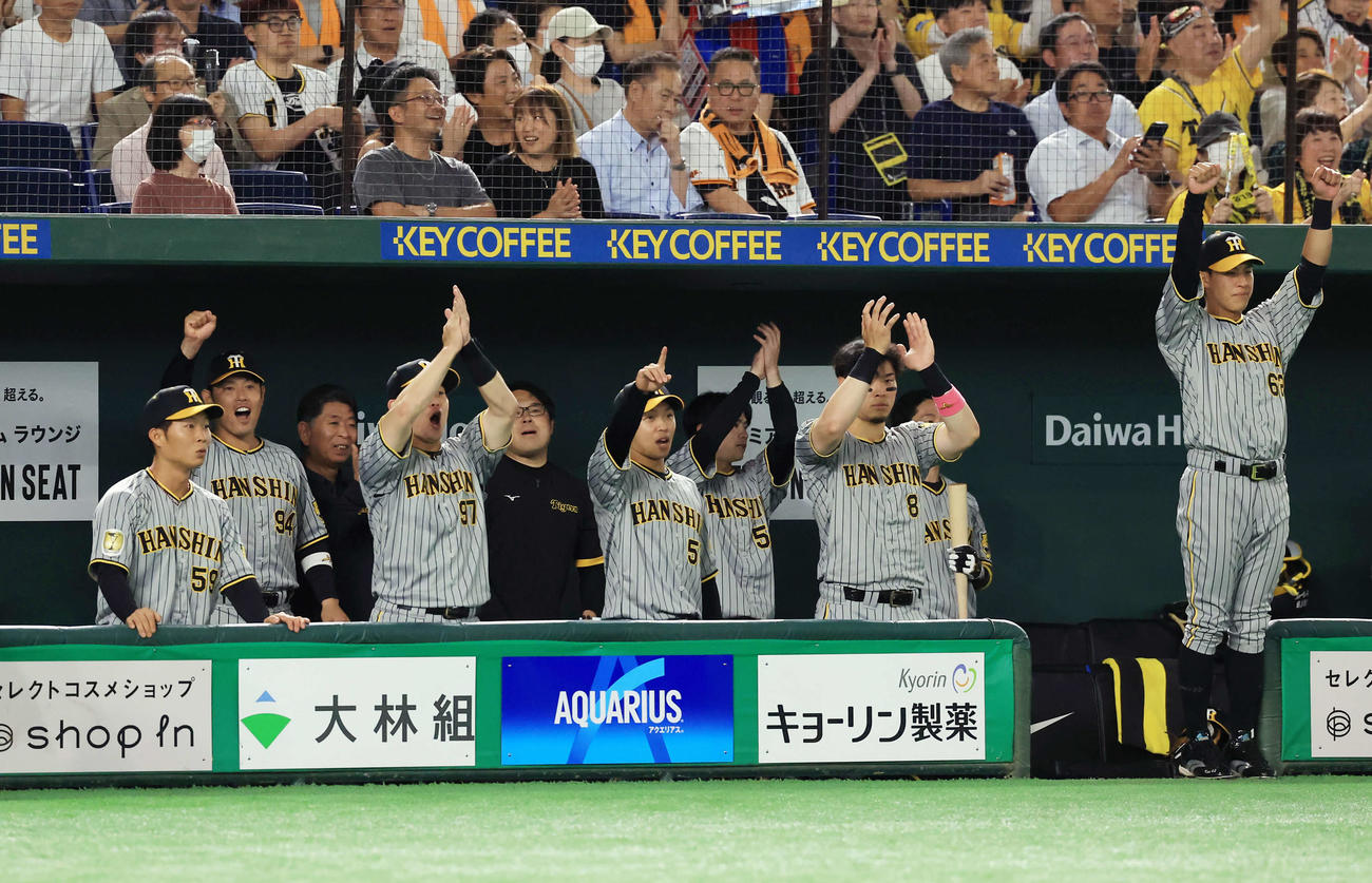 巨人対阪神　2回表阪神2死一、二塁、小幡が左適時打を放ち盛り上がる阪神ベンチ（撮影・浅見桂子）