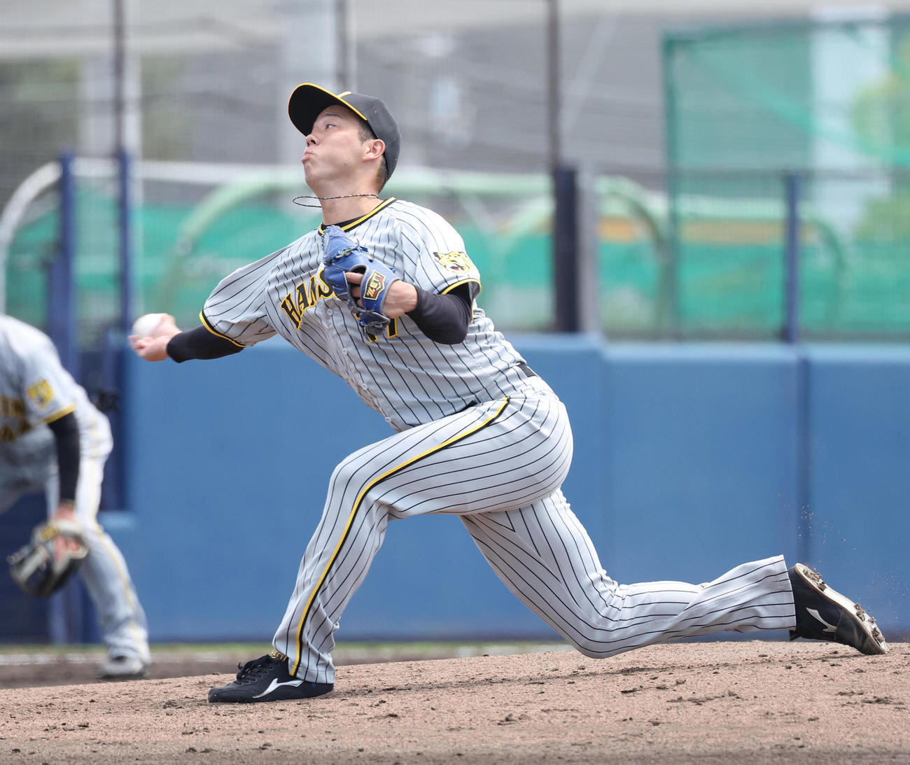 ウエスタンリーグオリックス対阪神　オリックス戦に先発する阪神青柳（撮影・白石智彦）