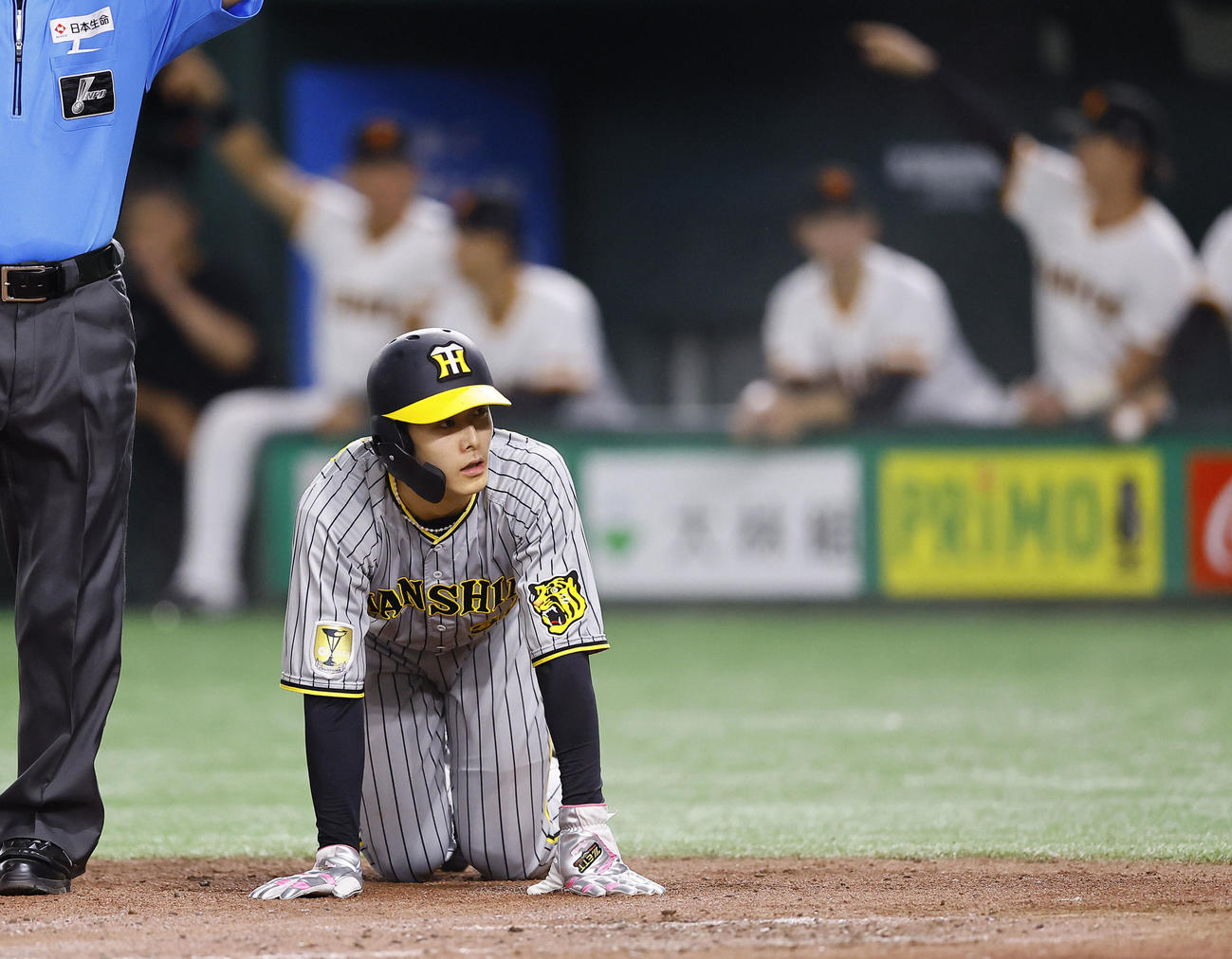 巨人対阪神　5回表阪神1死一、二塁、代打近本の右前打で小幡が本塁を狙うもタッチアウトになりガックリする（撮影・藤尾明華）