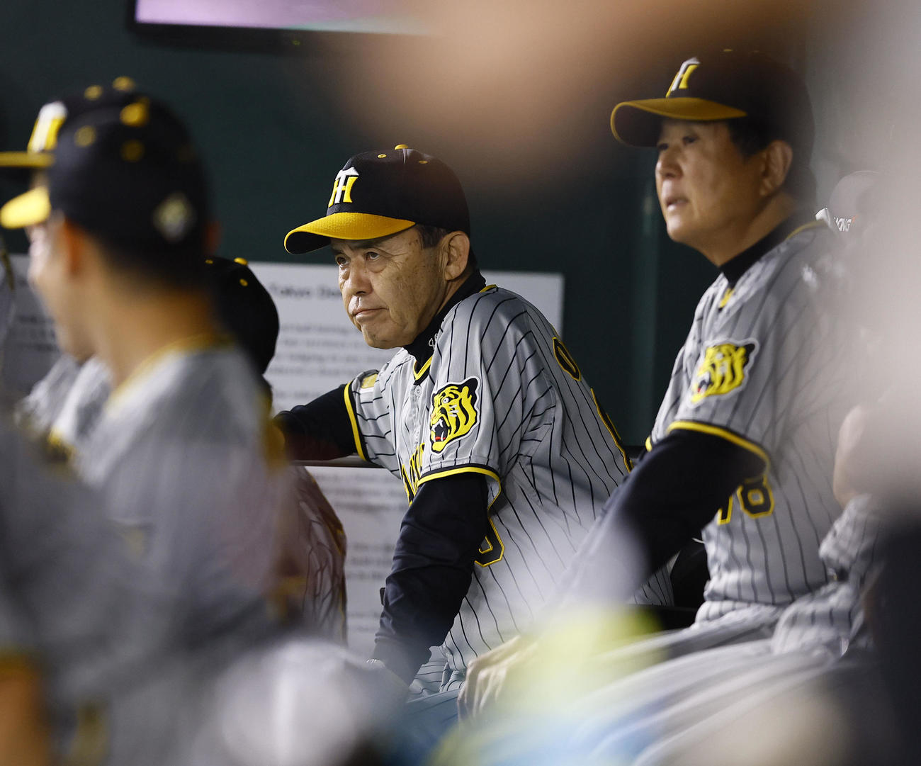 巨人対阪神　1回、ベンチで厳しい表情を見せる阪神岡田監督（撮影・藤尾明華）