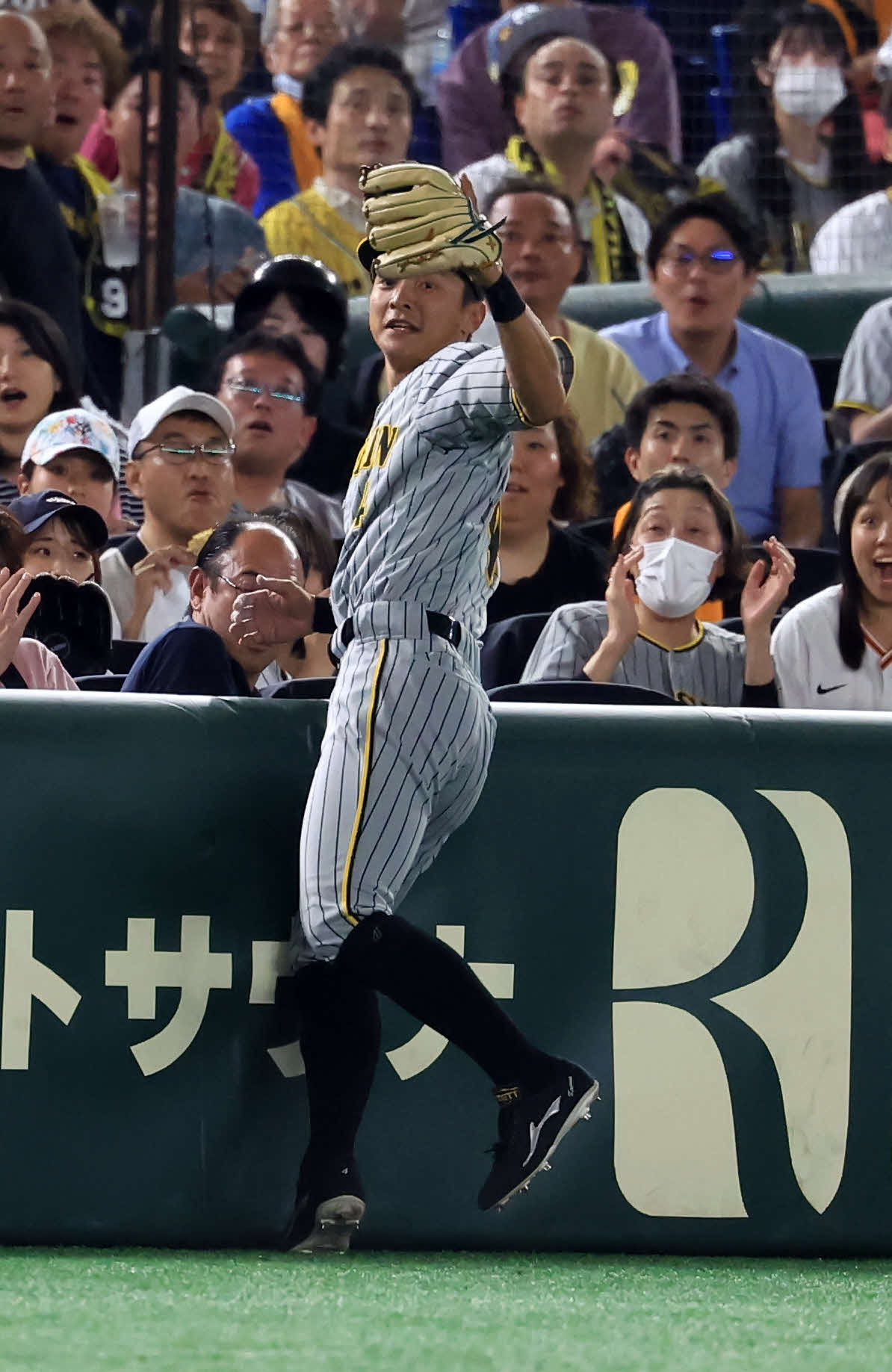巨人対阪神　7回裏巨人1死、吉川の邪飛を好捕しアピールする熊谷（撮影・浅見桂子）