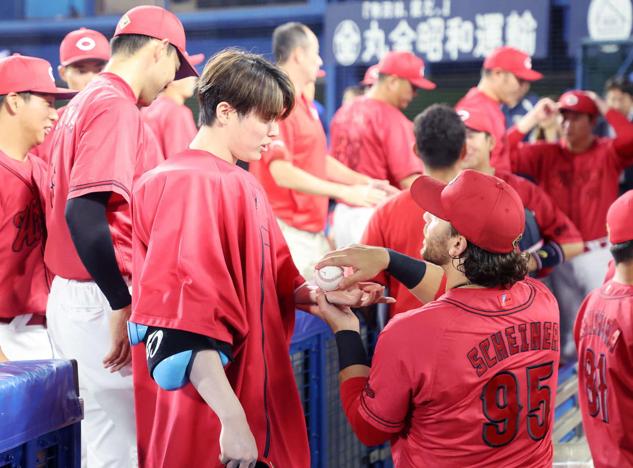 DeNA対広島　勝利しベンチ内で話をする広島森下（左）とシャイナー（撮影・鈴木正人）