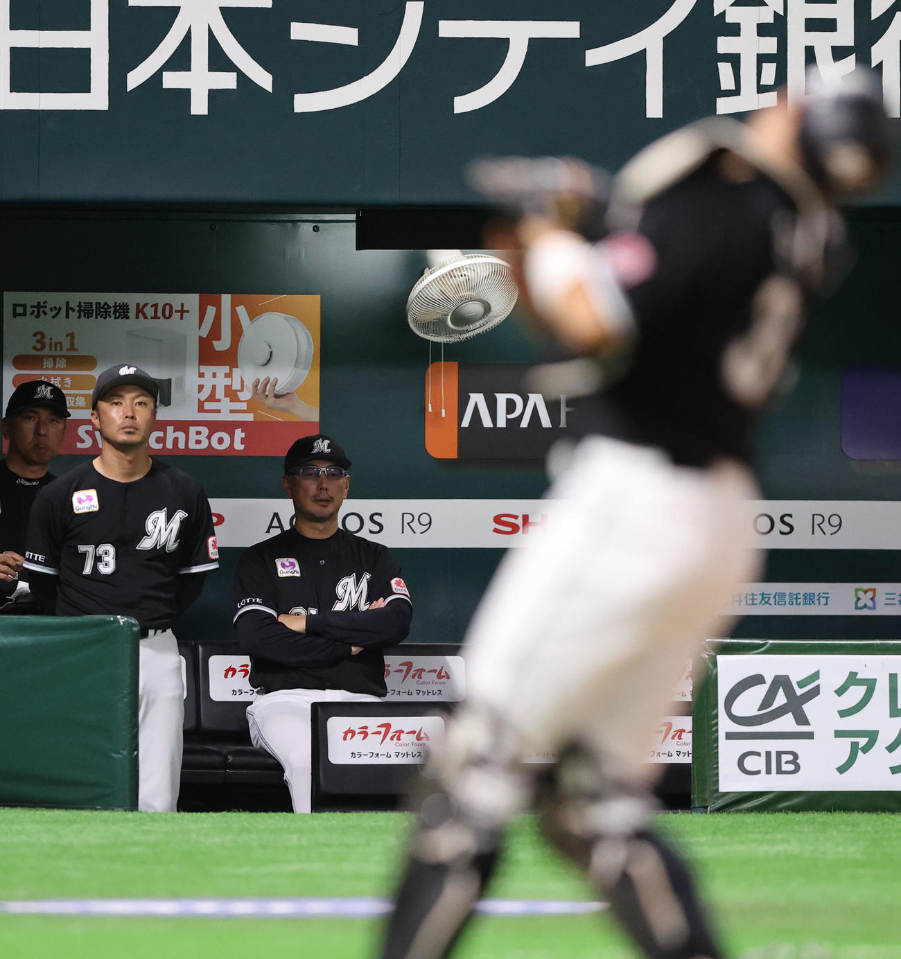 ソフトバンク対ロッテ　ベンチの奥で戦況を見守る吉井監督（撮影・梅根麻紀）