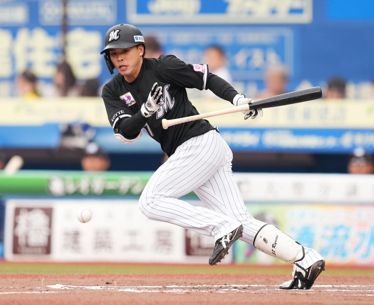 小川龍成（2024年5月19日撮影）