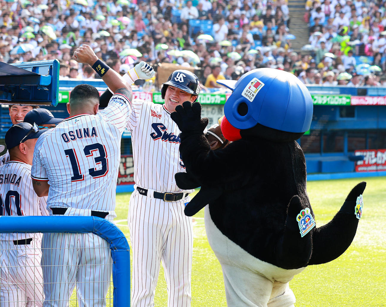 ヤクルト対阪神　5回裏ヤクルト2死、村上（中央）はソロ本塁打を放ちタッチを交わす（2024年6月29日撮影）