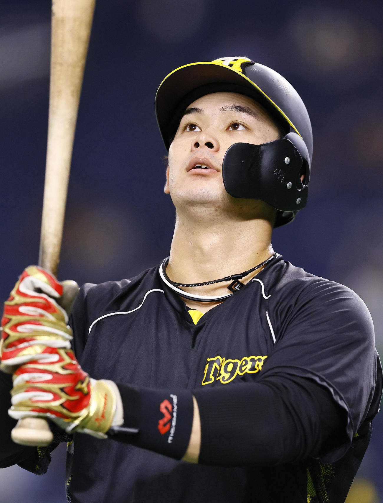打撃練習する阪神野口（2024年7月17日撮影）
