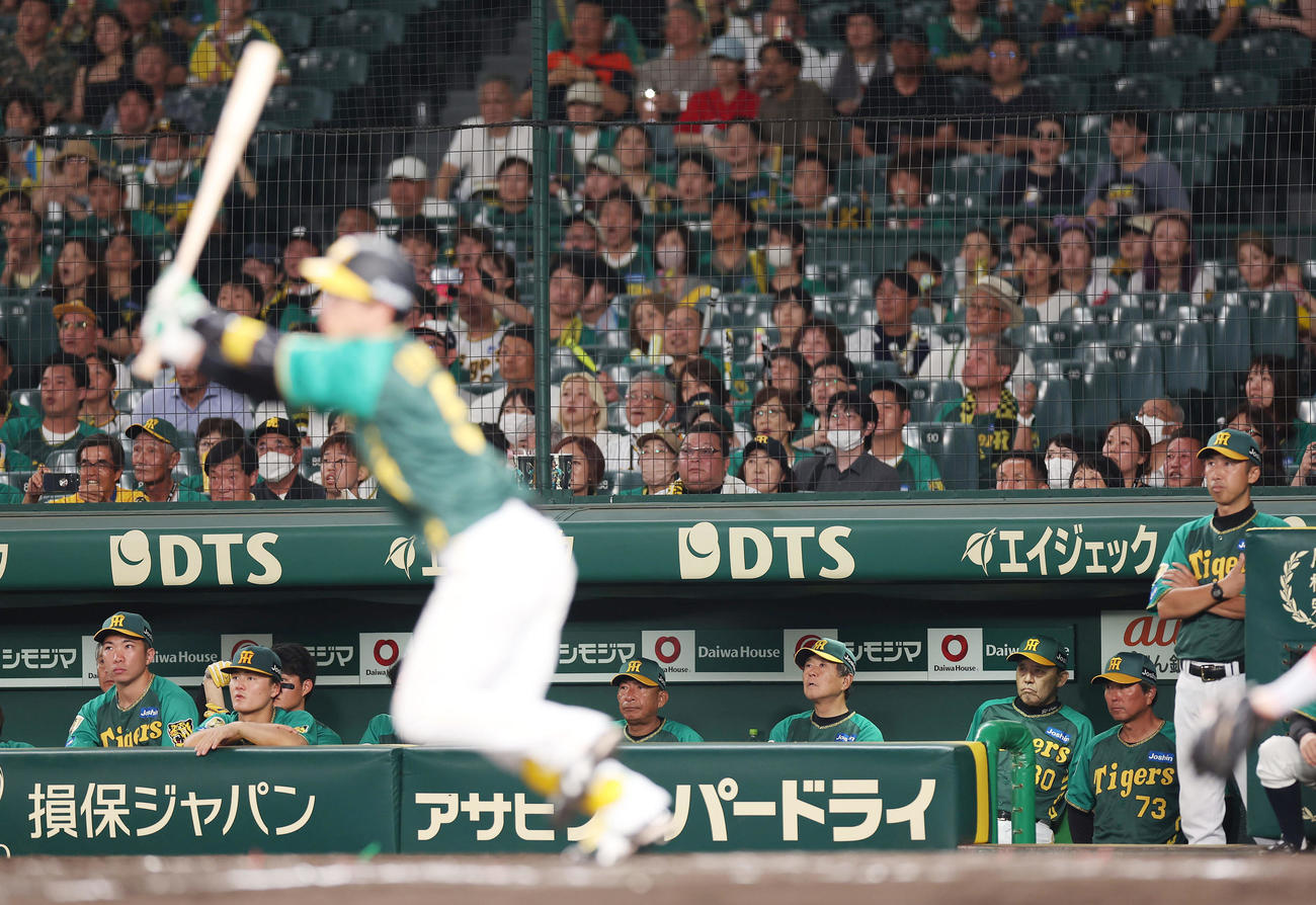 阪神対広島　11回裏阪神2死、近本が中飛に倒れ試合終了となり、ベンチで厳しい表情を見せる岡田監督（右から3人目）ら（撮影・前田充）