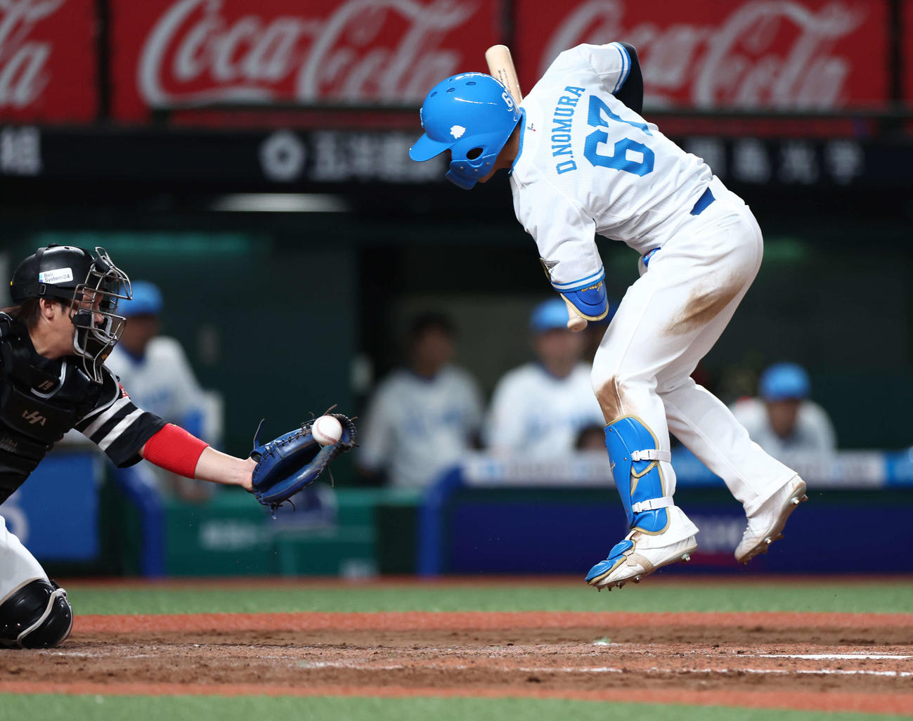 西武対ソフトバンク　8回裏西武1死一塁、死球を受ける野村大（撮影・河田真司）